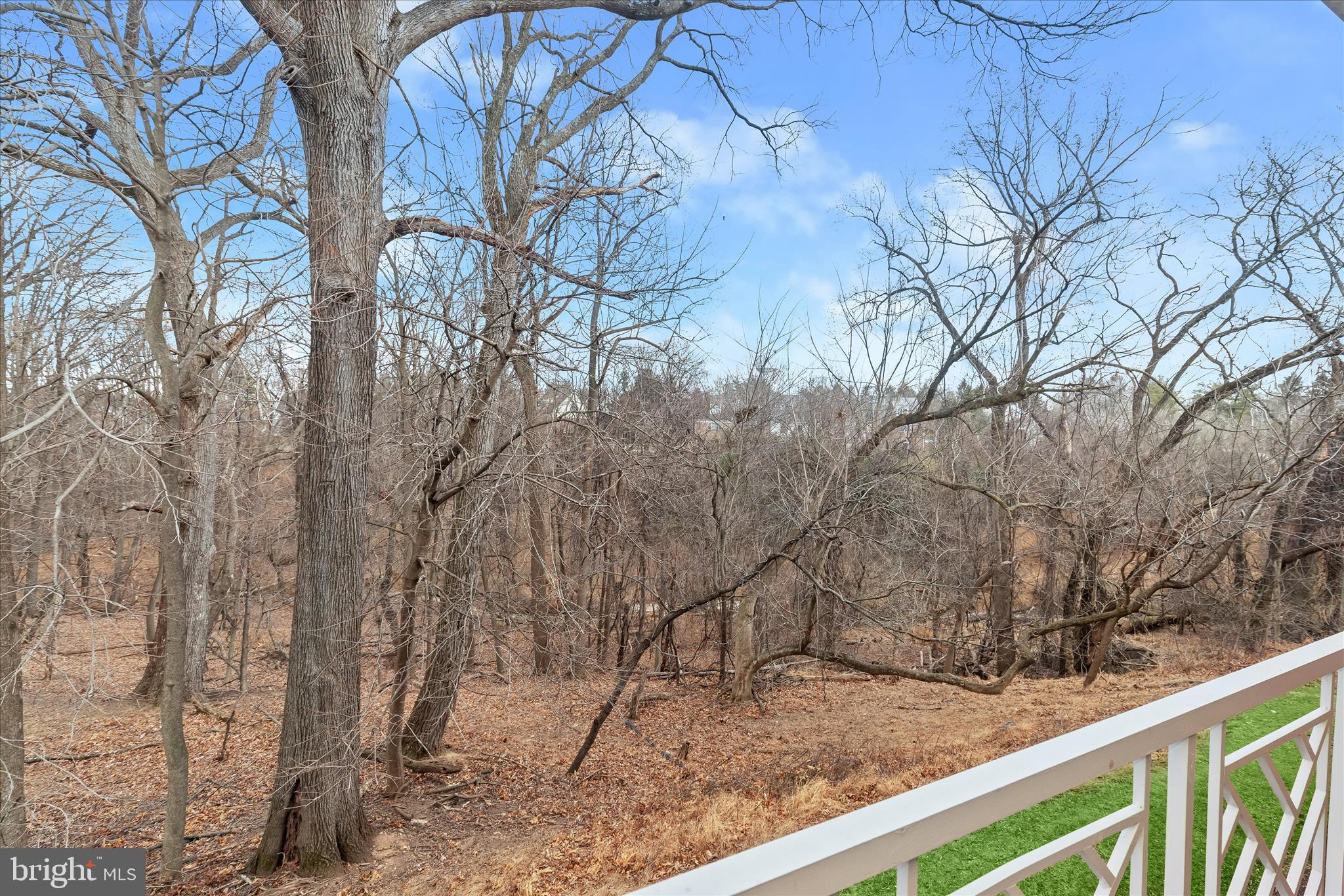 102 Castletown Road, Unit 201 Lutherville-Timonium, MD 21093 - Photo 31 of 33 Balcony view