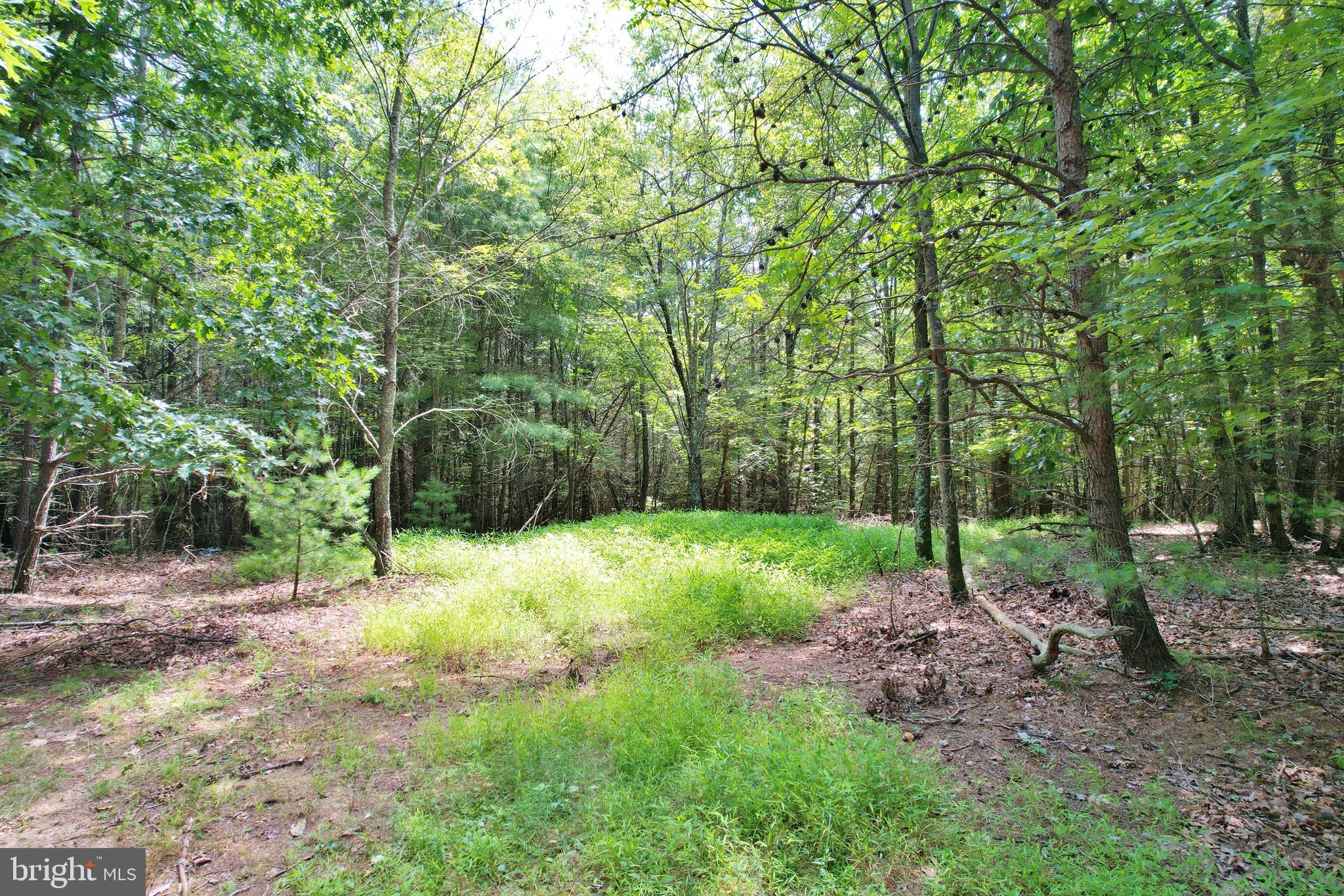 Alum Springs Road Edinburg, VA 22824 - Photo 16 of 20