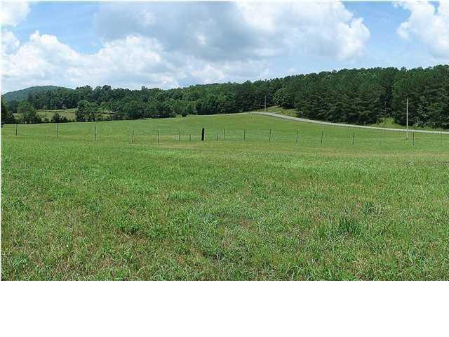 1076 Rifle Range Road, Unit TRACT A Ringgold, GA 30736 - Photo 7 of 9 20150129205146612067000000-o.jpg
