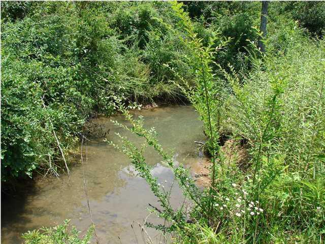 1076 Rifle Range Road, Unit TRACT A Ringgold, GA 30736 - Photo 8 of 9 20150129205147600751000000-o.jpg