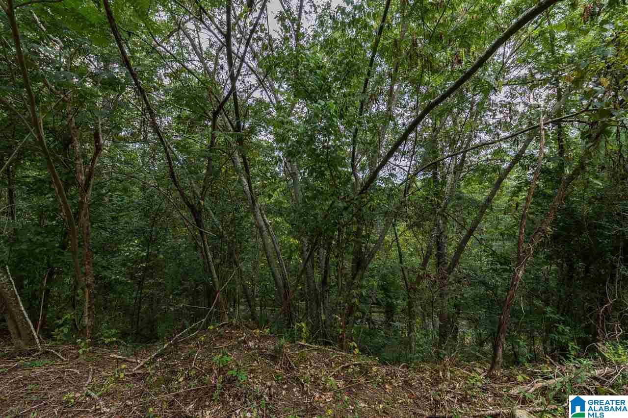 1 Shady Lane Road, Unit 1 Birmingham, AL 35213 - Photo 8 of 14 Gallery Image 8