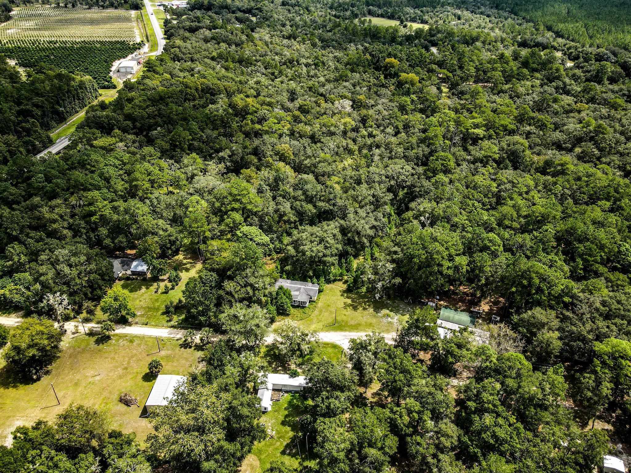 3080 David Horton Road Perry, FL 32348 - Photo 6 of 7 Gallery Image 6