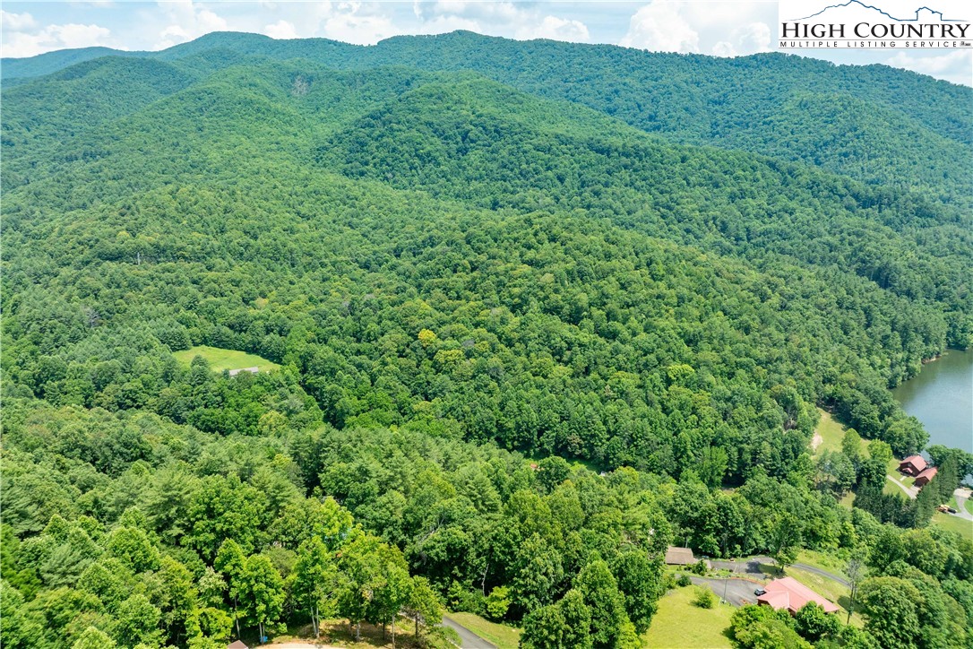 Lot 5 Lake Ridge Butler, TN 37640 - Photo 16 of 24