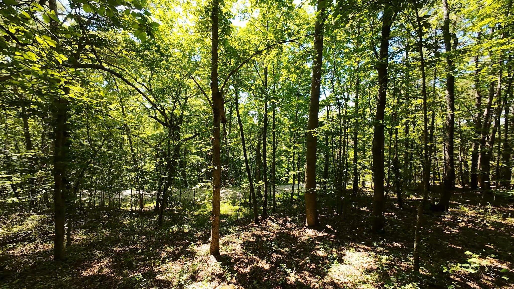 Tbd Broad Shoals Road Riner, VA 24149 - Photo 5 of 13 Gallery Image 5