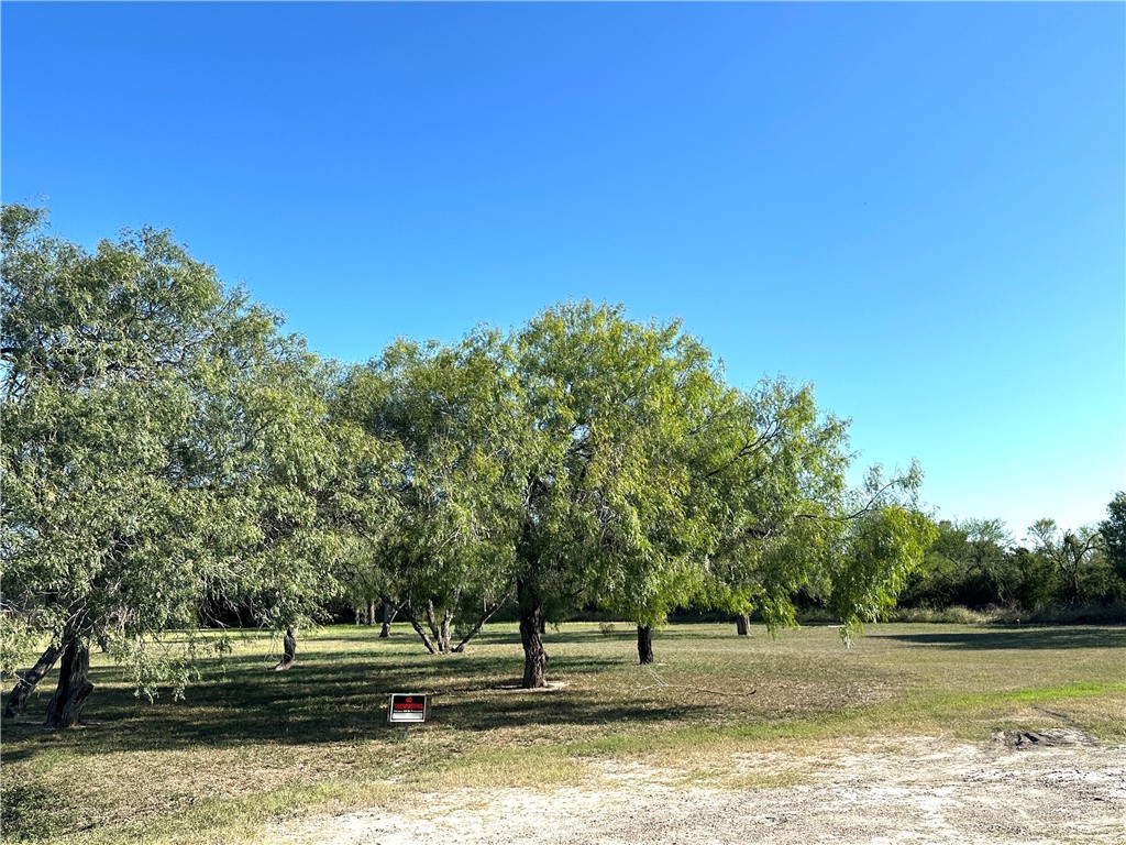 0 East Merriman Street Sinton, TX 78387 - Photo 2 of 2 a view of a lake view