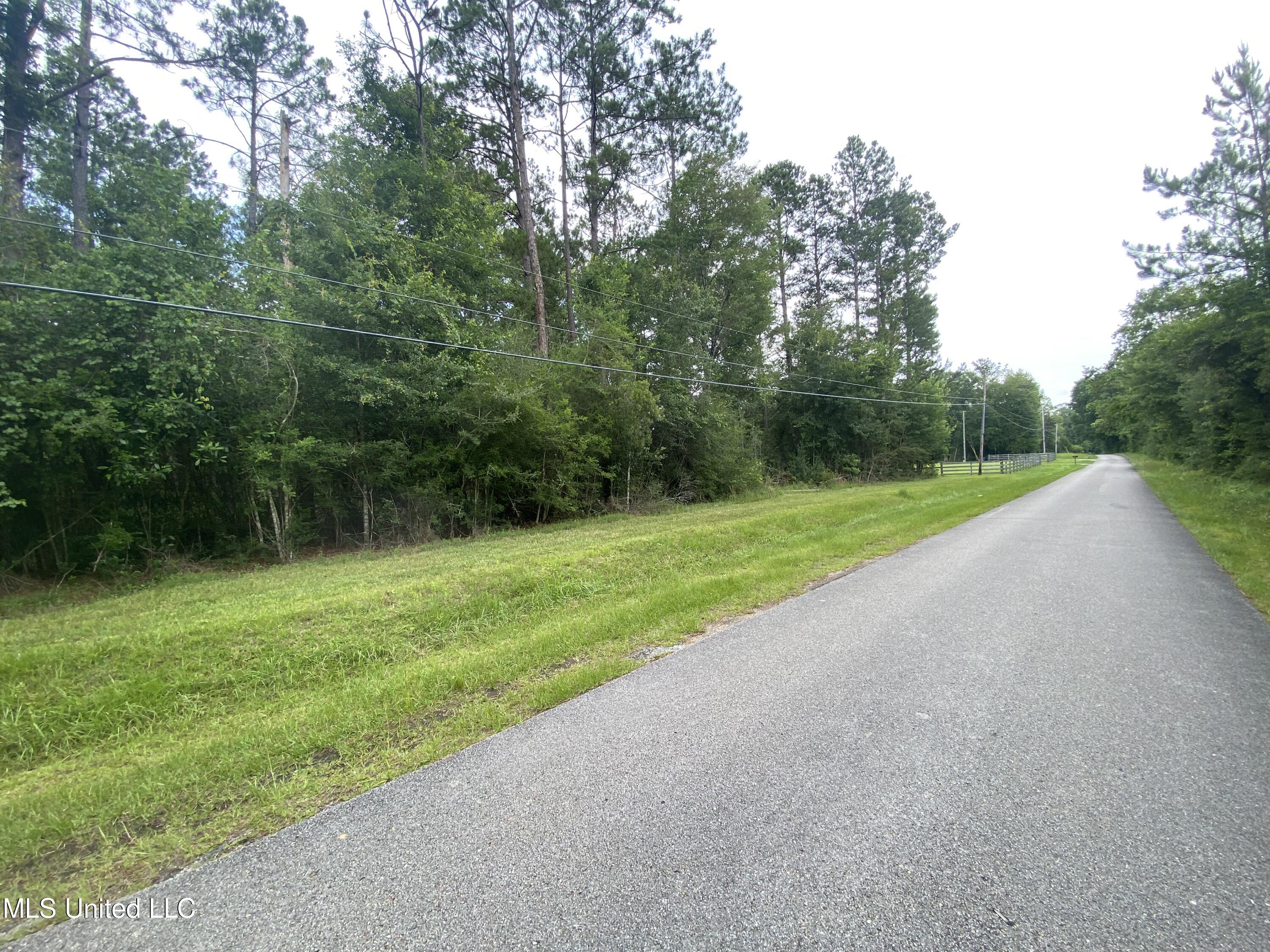 Waltman Road Vancleave, MS 39565 - Photo 1 of 1 Street view