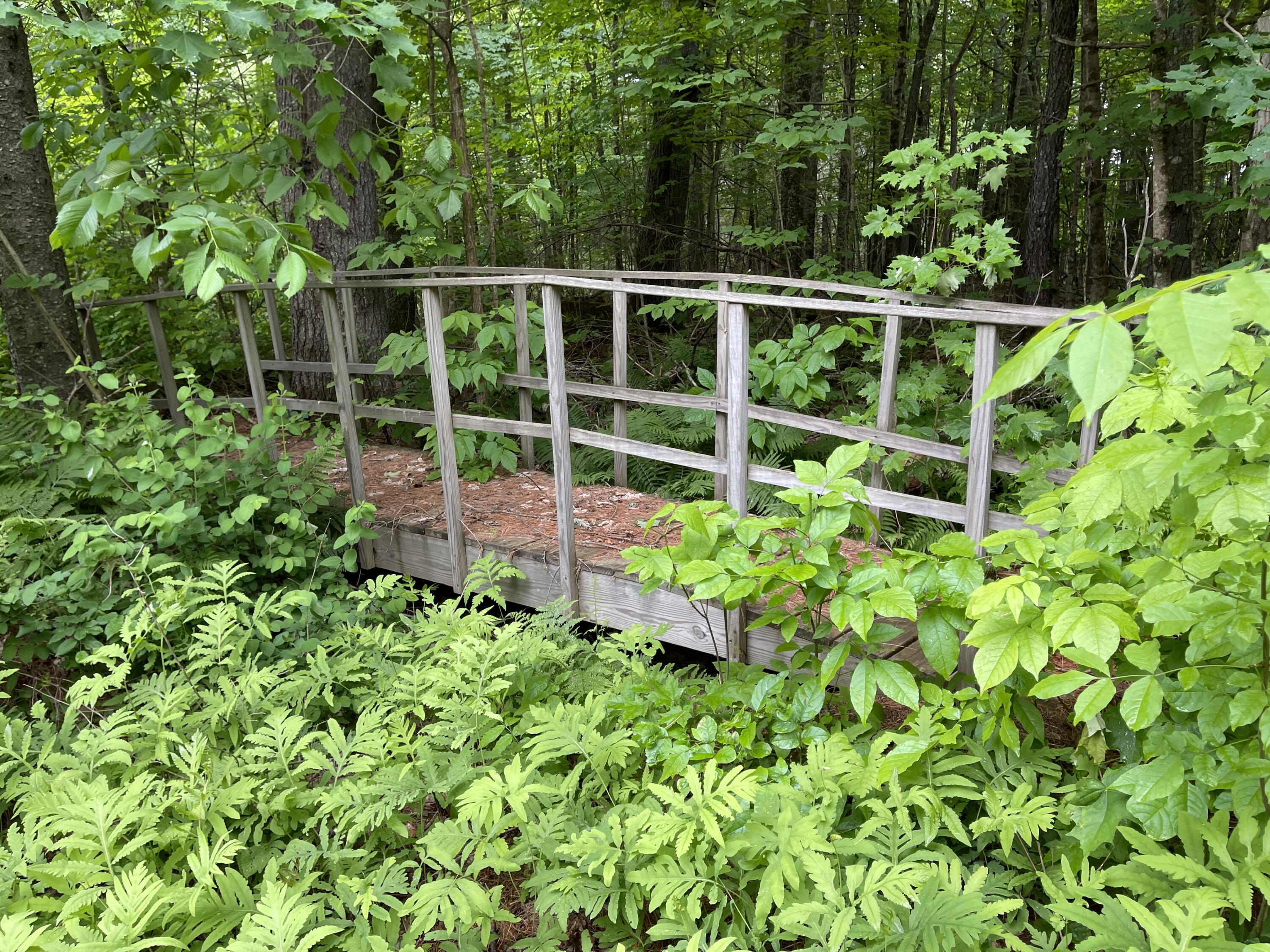 25 Day Road Garland, ME 04939 - Photo 6 of 92 Bridge Near the Pond