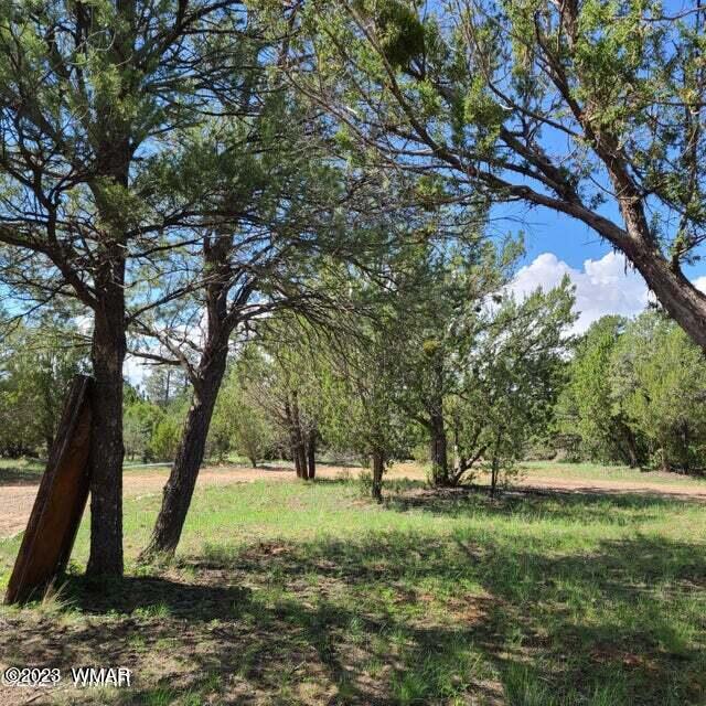 3091 Highway 277 Overgaard, AZ 85933 - Photo 5 of 34