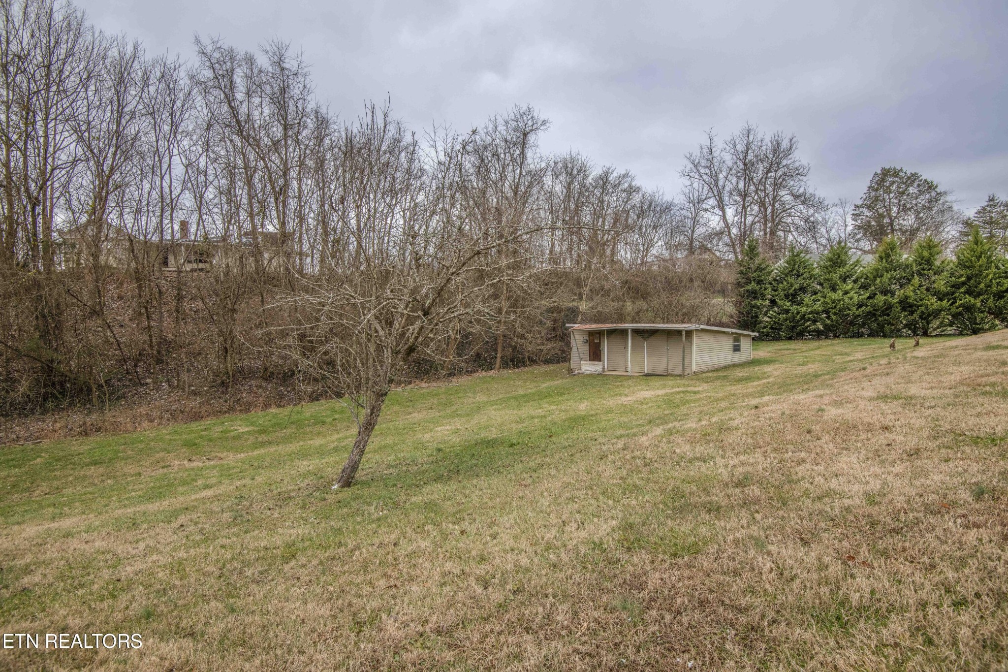 252 Longfield Road Rocky Top, TN 37769 - Photo 25 of 28 Gallery Image 25
