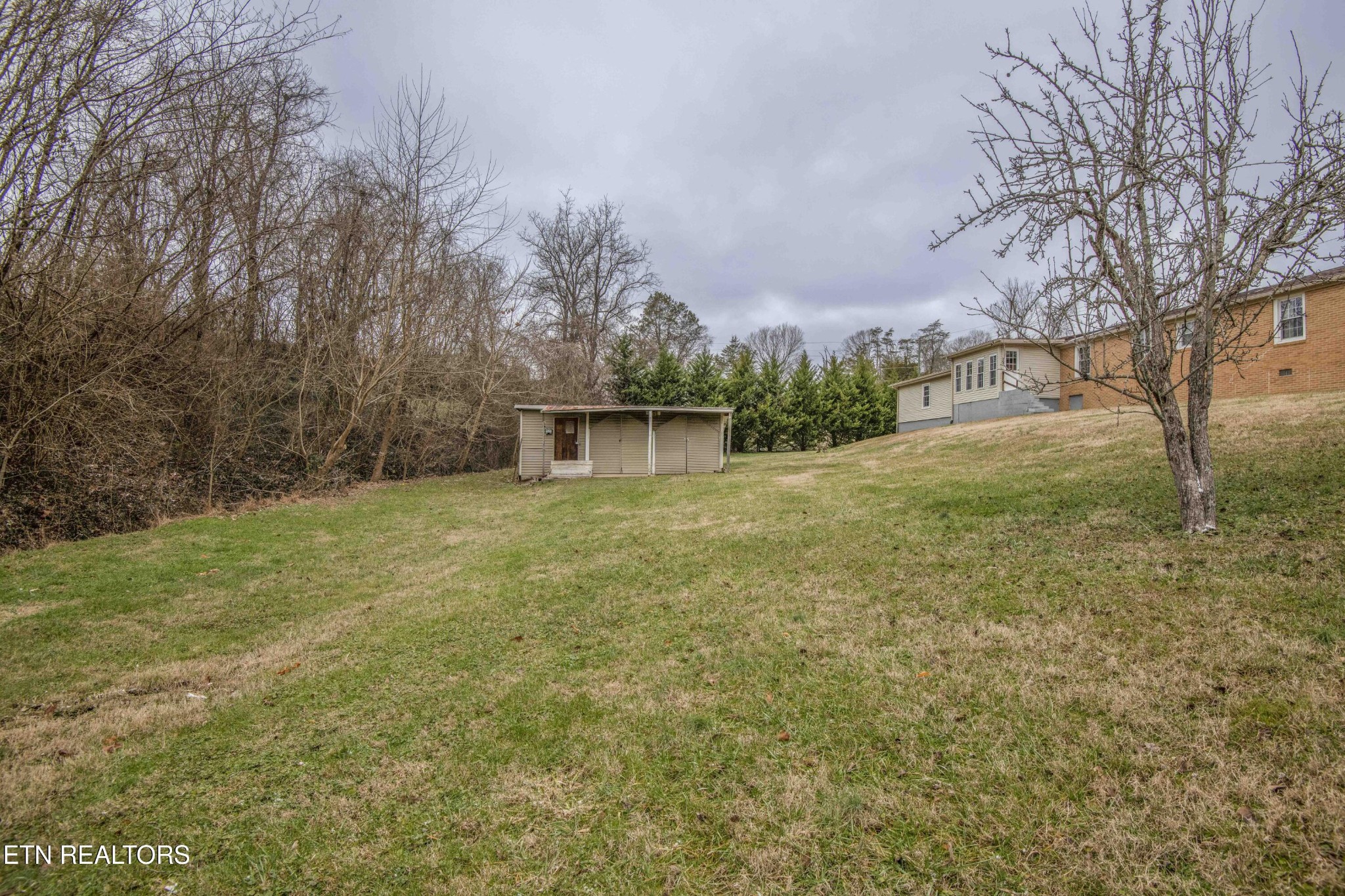 252 Longfield Road Rocky Top, TN 37769 - Photo 27 of 28 Gallery Image 27