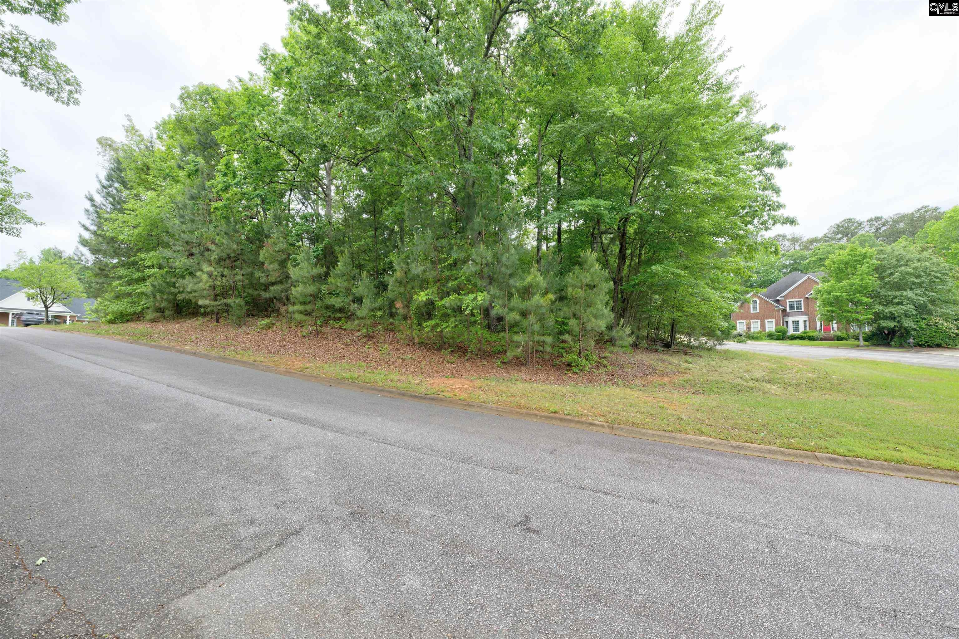 1 Aderley Court Irmo, SC 29063 - Photo 3 of 9