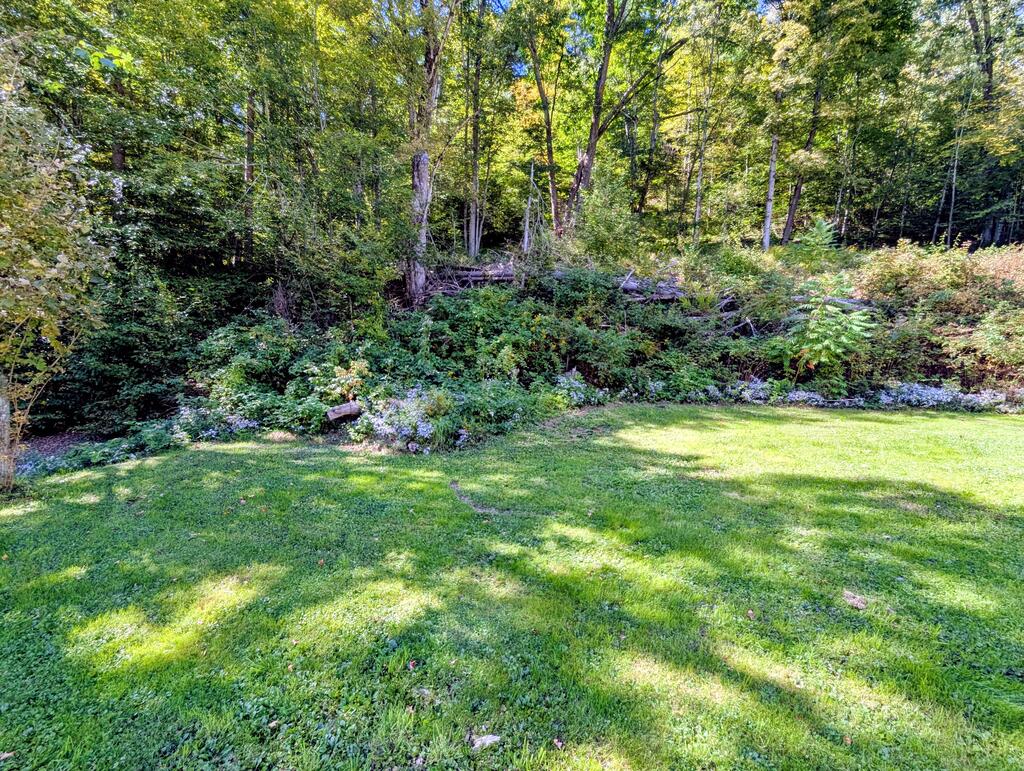 5345 Gardeau Road Austin, PA 16720 - Photo 4 of 50 Gallery Image 4