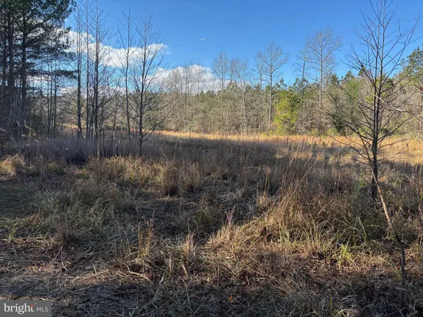 $210,000 | Lot 4 Molly Field Road, Dagsboro, DE 19939