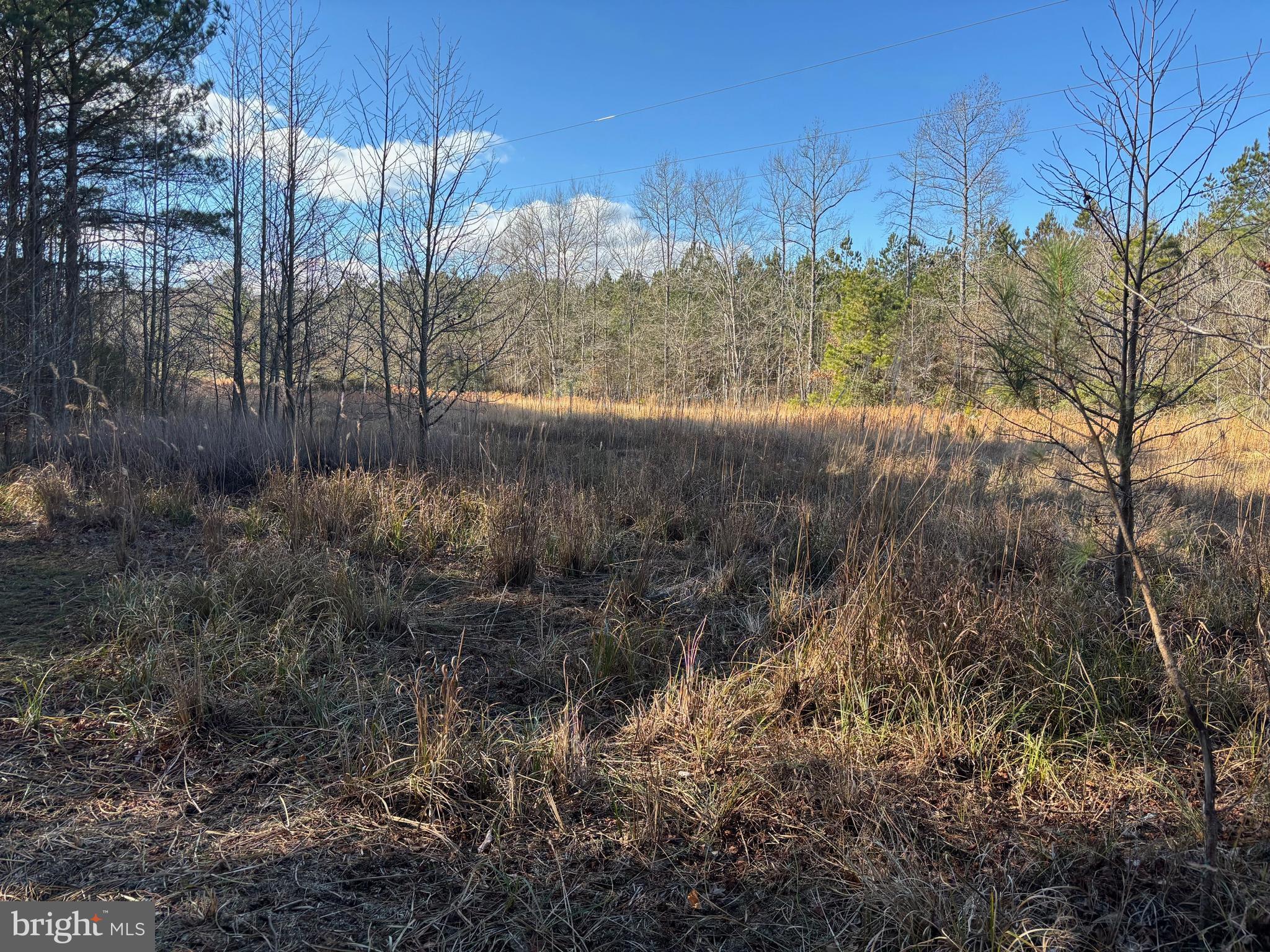 Lot 4 Molly Field Road Dagsboro, DE 19939 - Photo 1 of 6