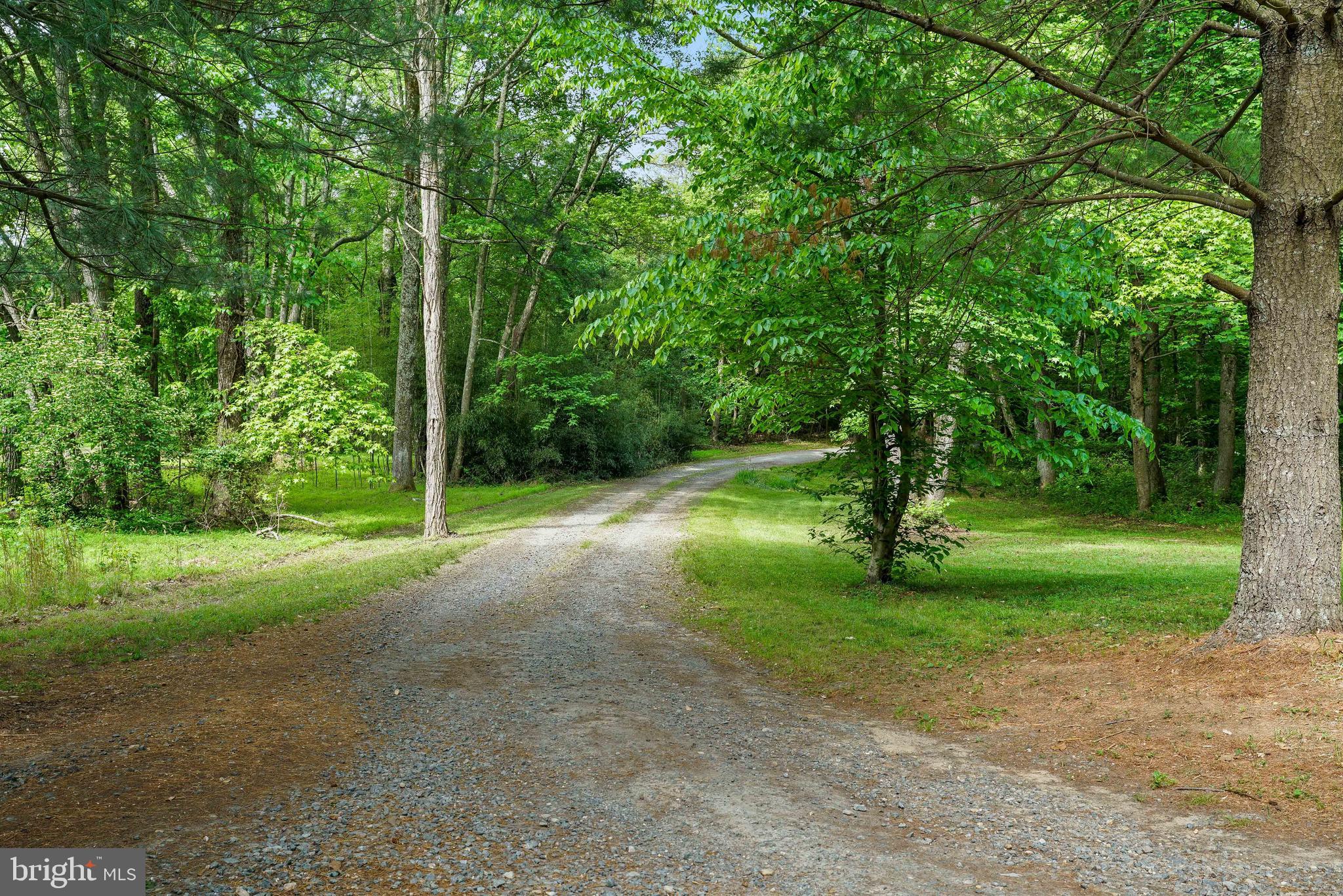 959 Irishtown Road North East, MD 21901 - Photo 11 of 56