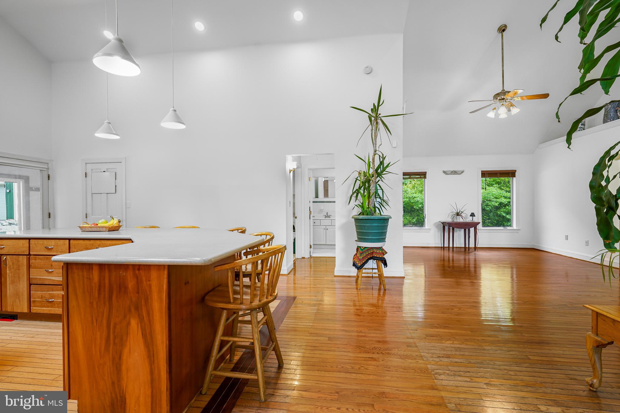 959 Irishtown Road North East, MD 21901 - Photo 19 of 56