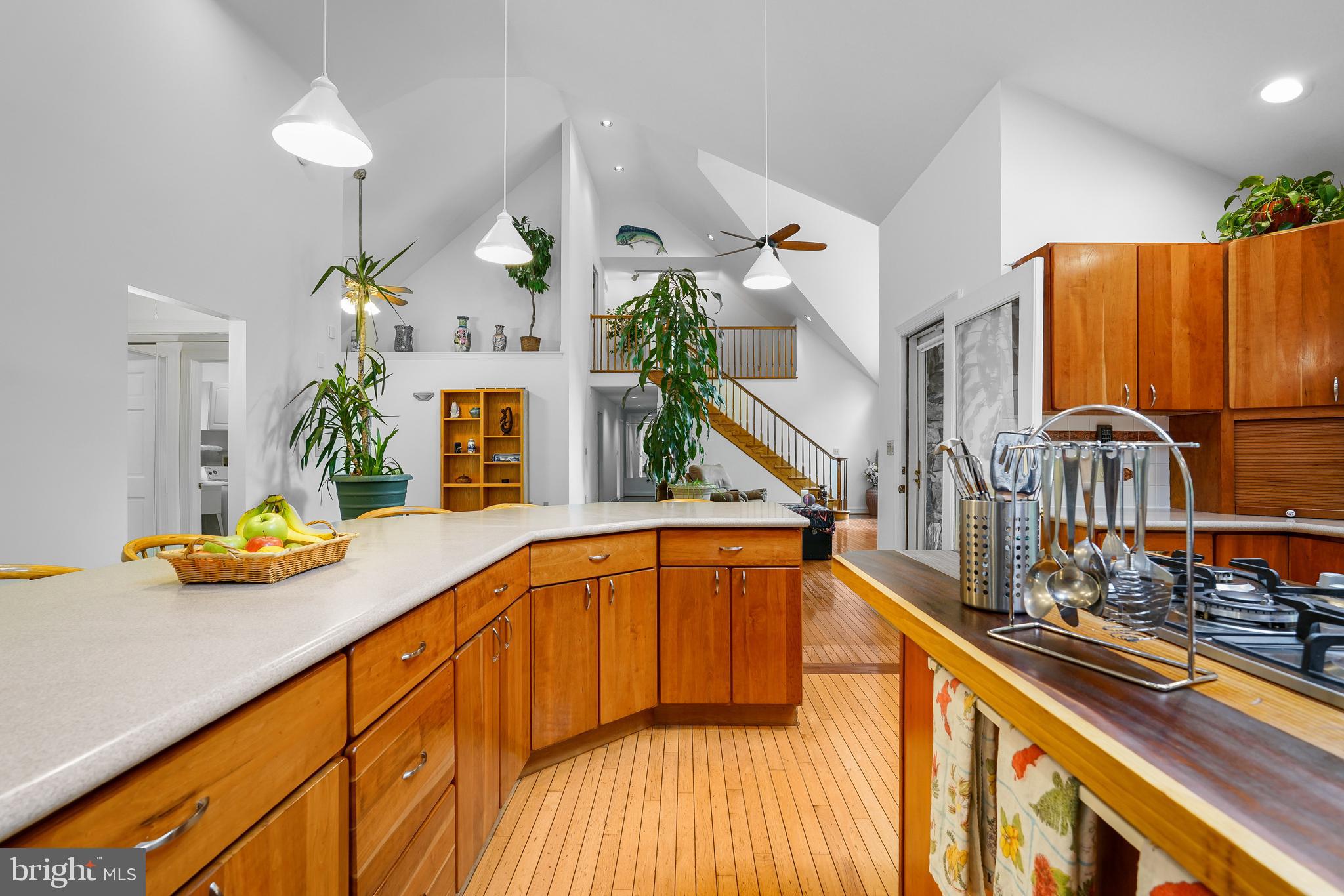 959 Irishtown Road North East, MD 21901 - Photo 23 of 56