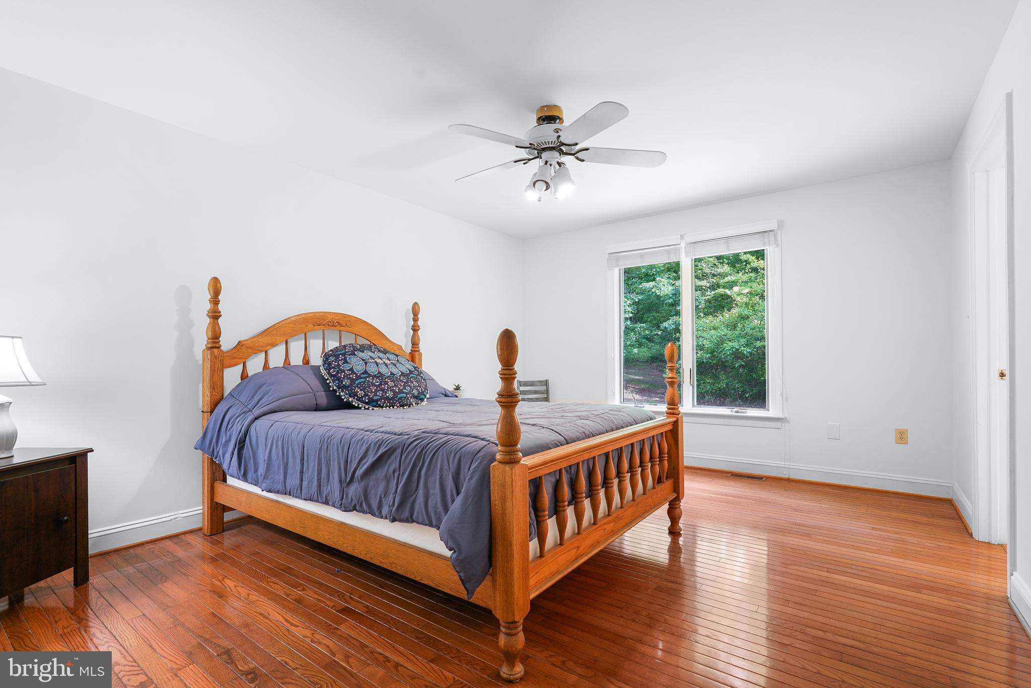 959 Irishtown Road North East, MD 21901 - Photo 40 of 56