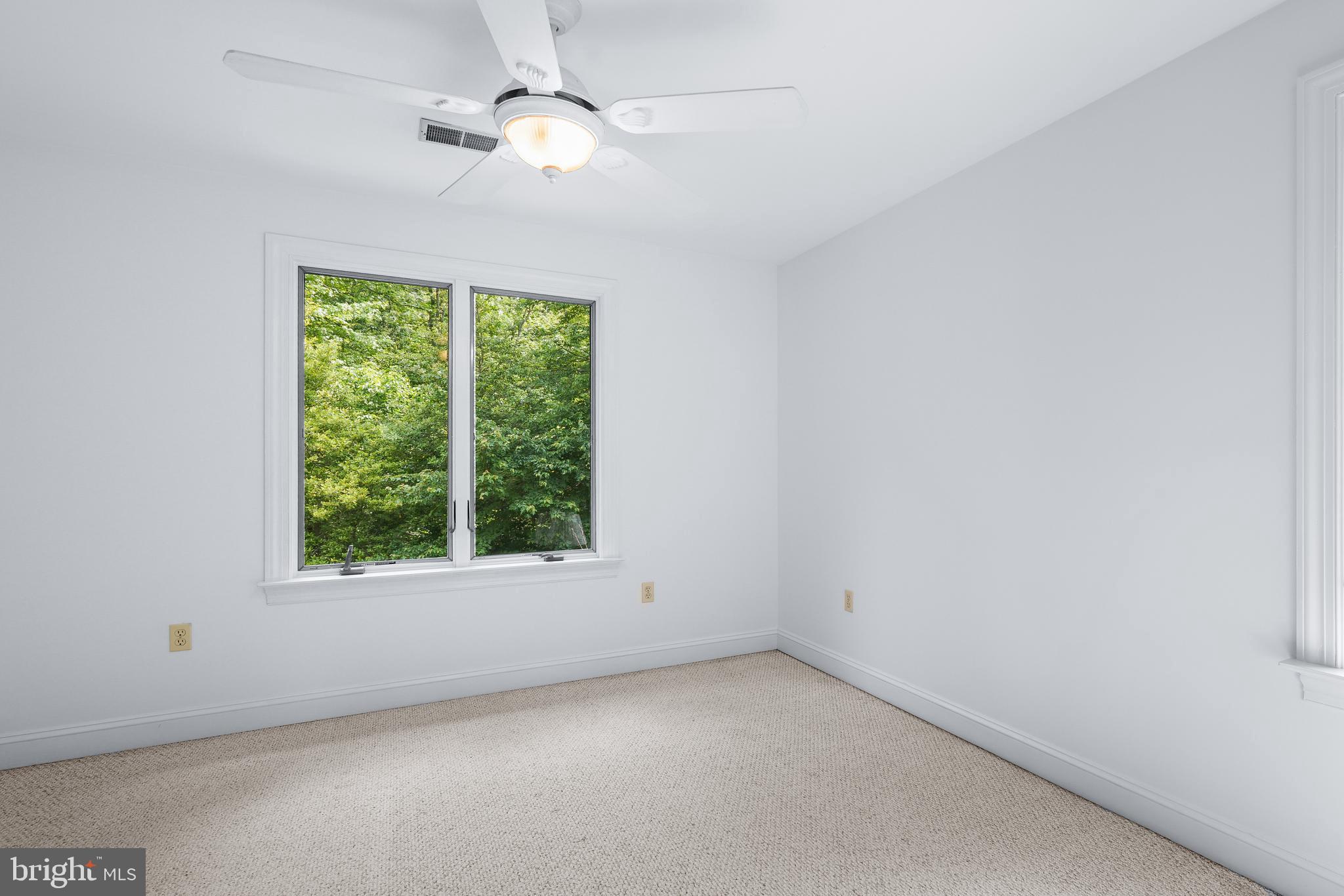 959 Irishtown Road North East, MD 21901 - Photo 43 of 56