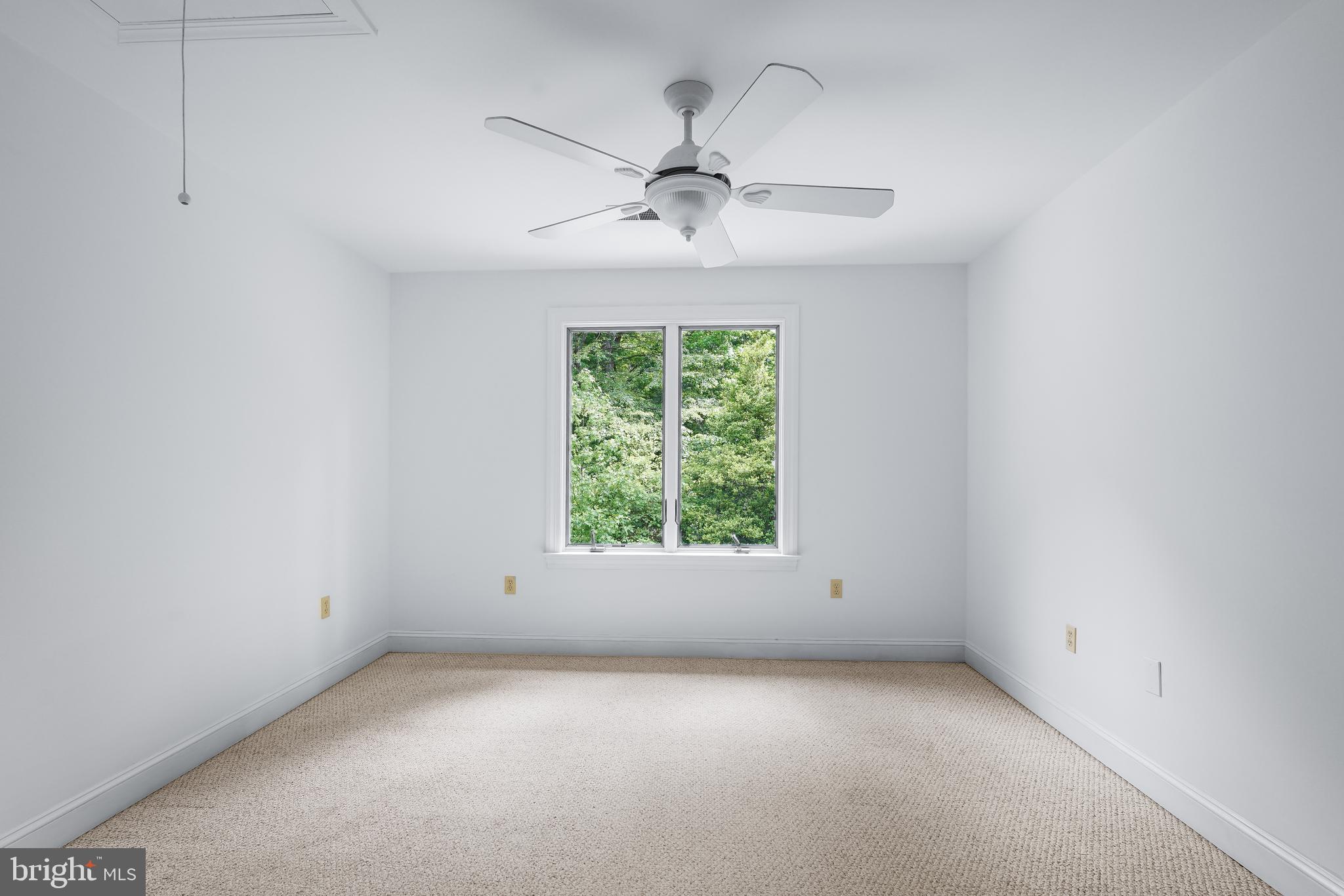 959 Irishtown Road North East, MD 21901 - Photo 45 of 56