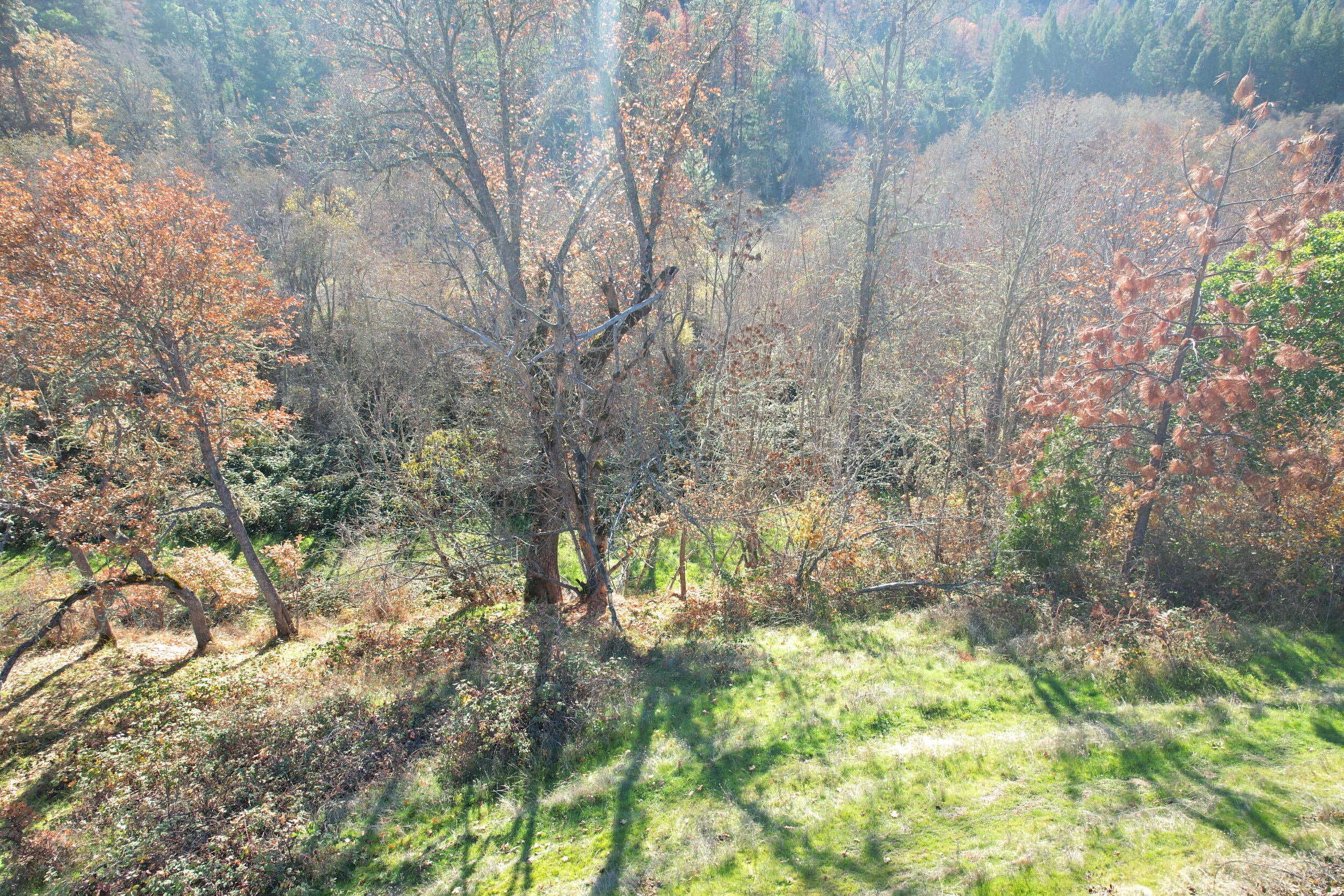 North Applegate Road Jacksonville, OR 97530 - Photo 35 of 51 looking south over quad road and river