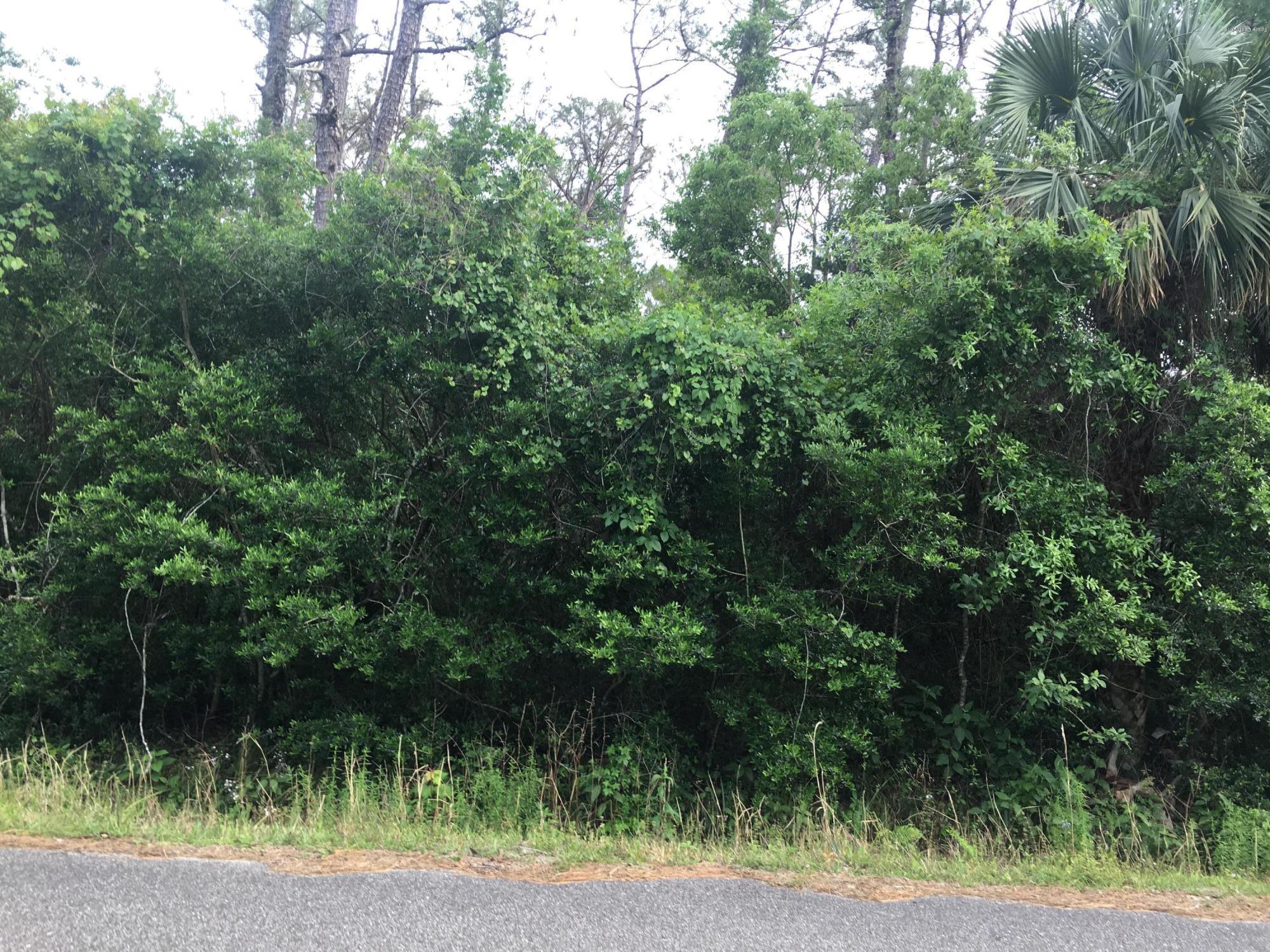 None Grant Line Road Mims, FL 32754 - Photo 1 of 5 IMG_4310