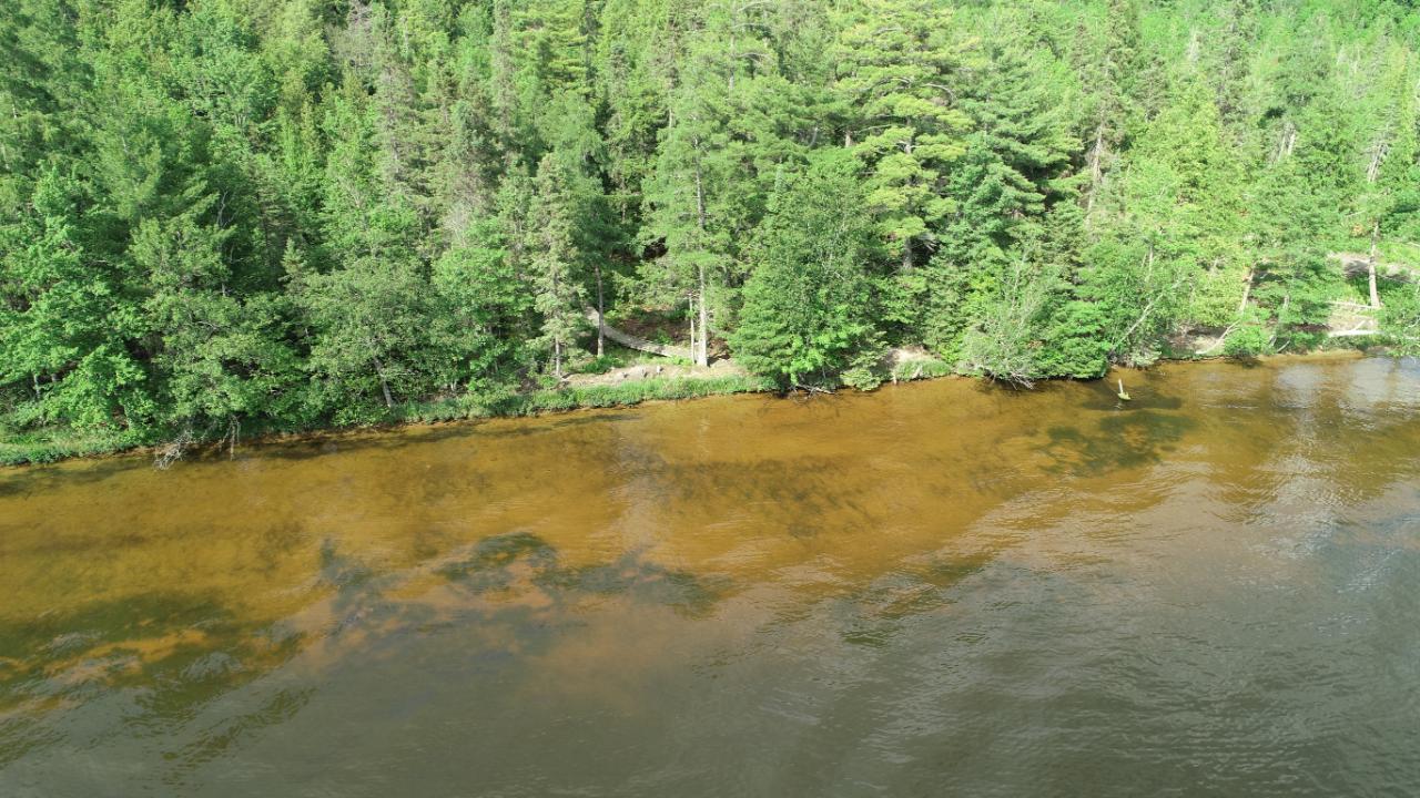 Lot 2 Everett Road Eagle River, WI 54521 - Photo 1 of 30 Gallery Image 1