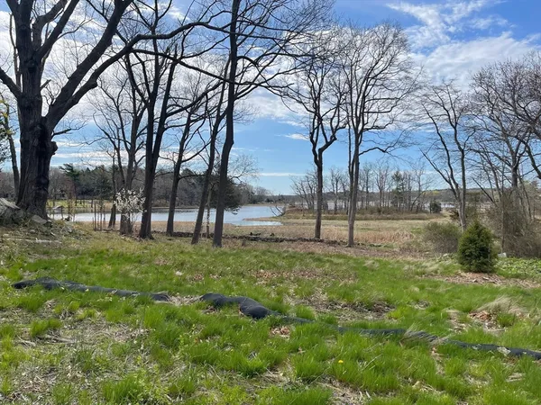 a view of backyard with tree