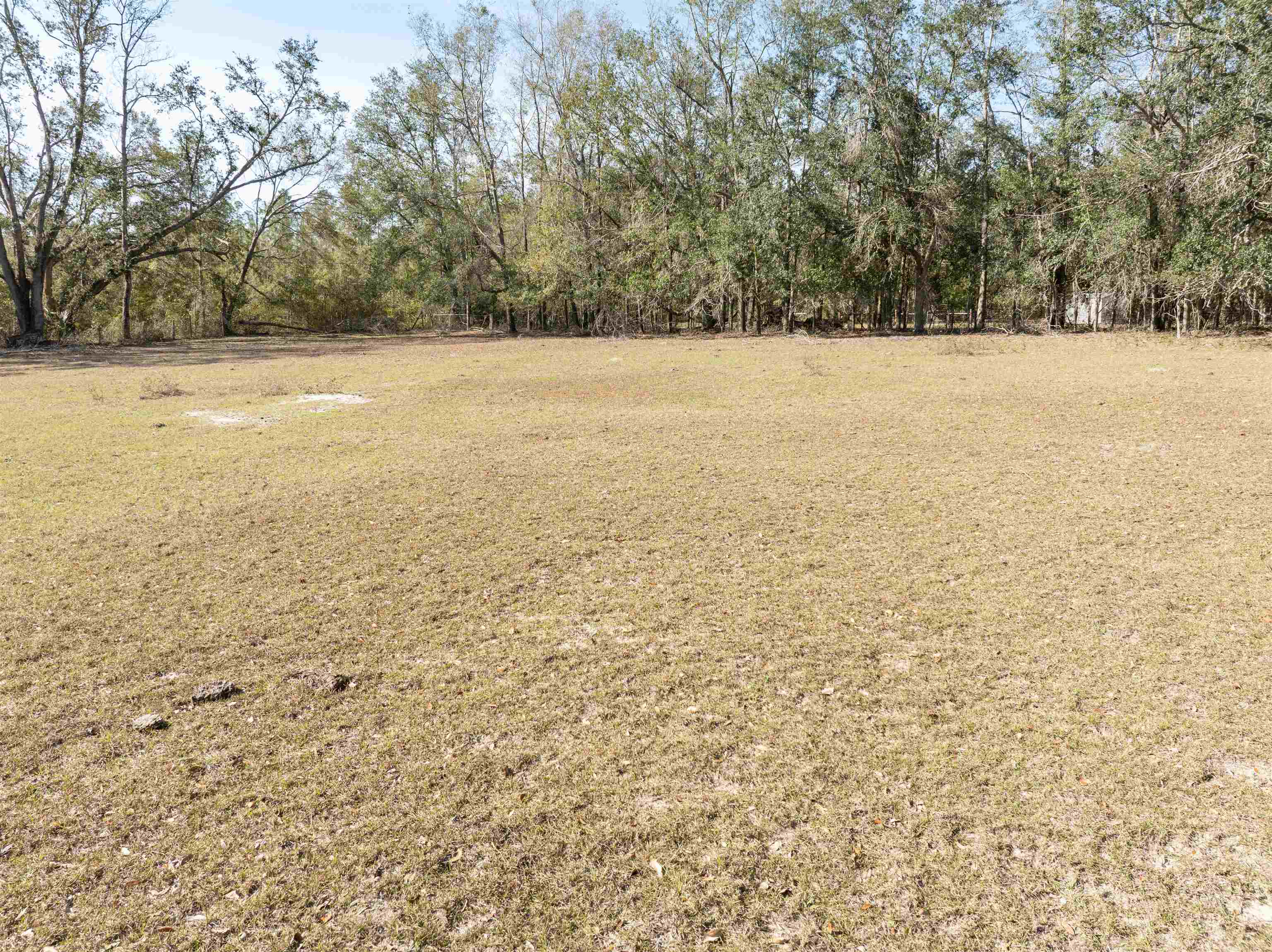 Vacant Donaldson Road Lee, FL 32059 - Photo 7 of 27 Gallery Image 7