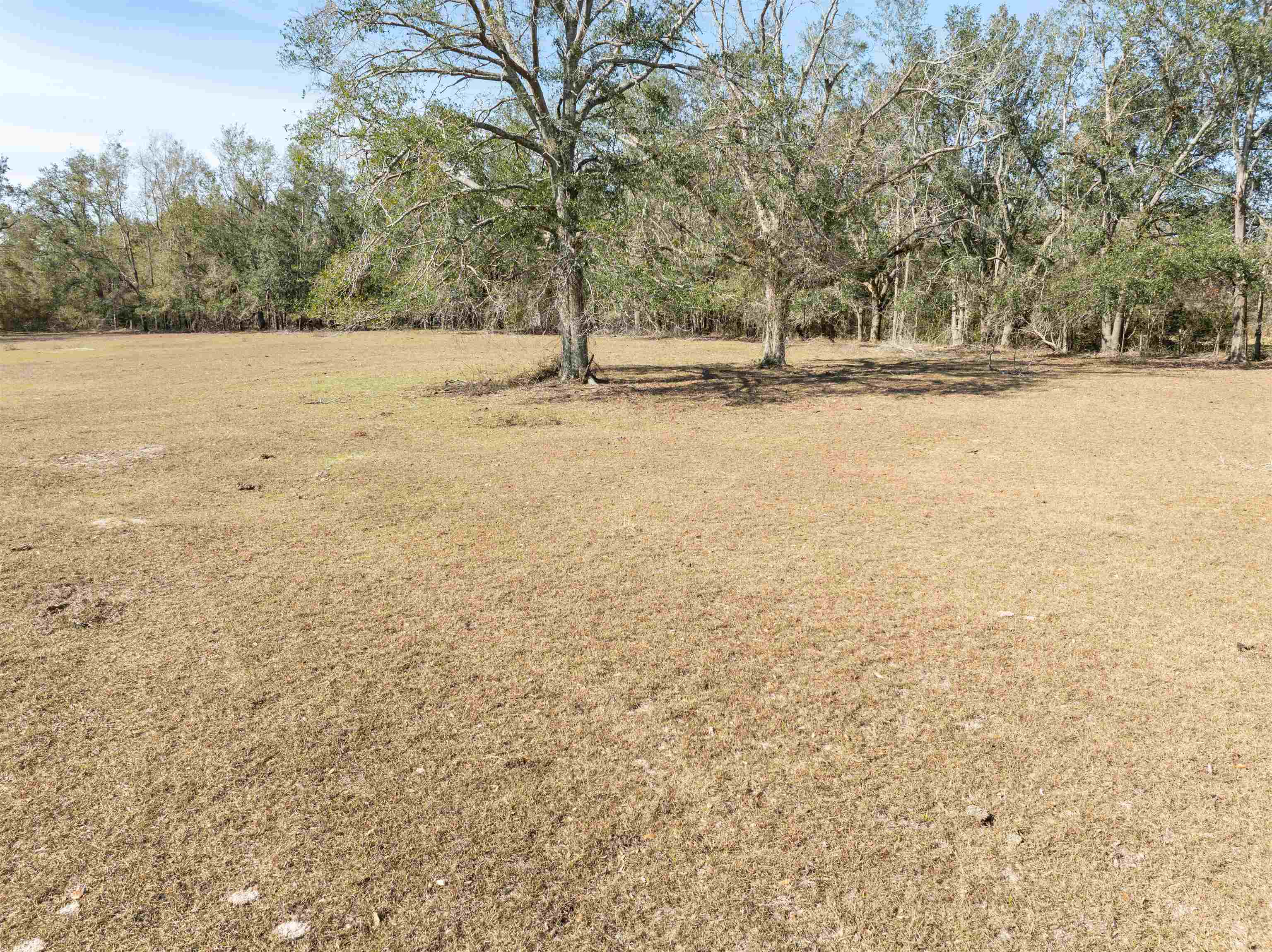 Vacant Donaldson Road Lee, FL 32059 - Photo 8 of 27 Gallery Image 8