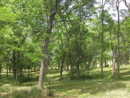 570 Anderson Road, Unit B 1 Georgetown, KY 40324 - Photo 4 of 15 Photo 4