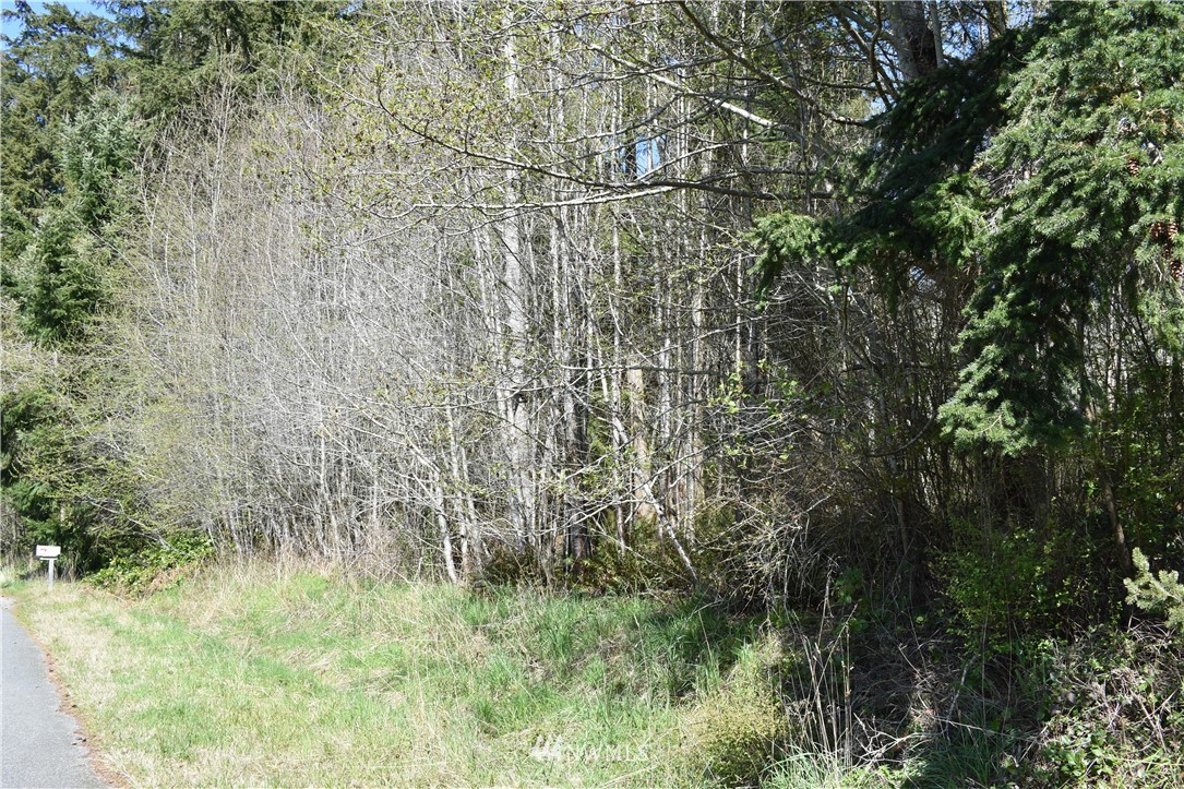 0 Sycamore Road, Unit 7&8 Coupeville, WA 98239 - Photo 2 of 6 Gallery Image 2