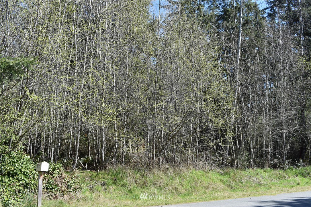 0 Sycamore Road, Unit 7&8 Coupeville, WA 98239 - Photo 3 of 6 Gallery Image 3