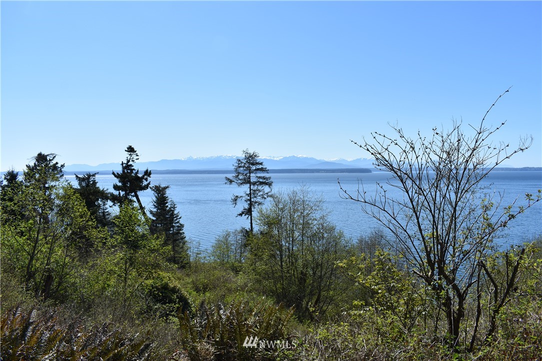 0 Sycamore Road, Unit 7&8 Coupeville, WA 98239 - Photo 4 of 6 Gallery Image 4