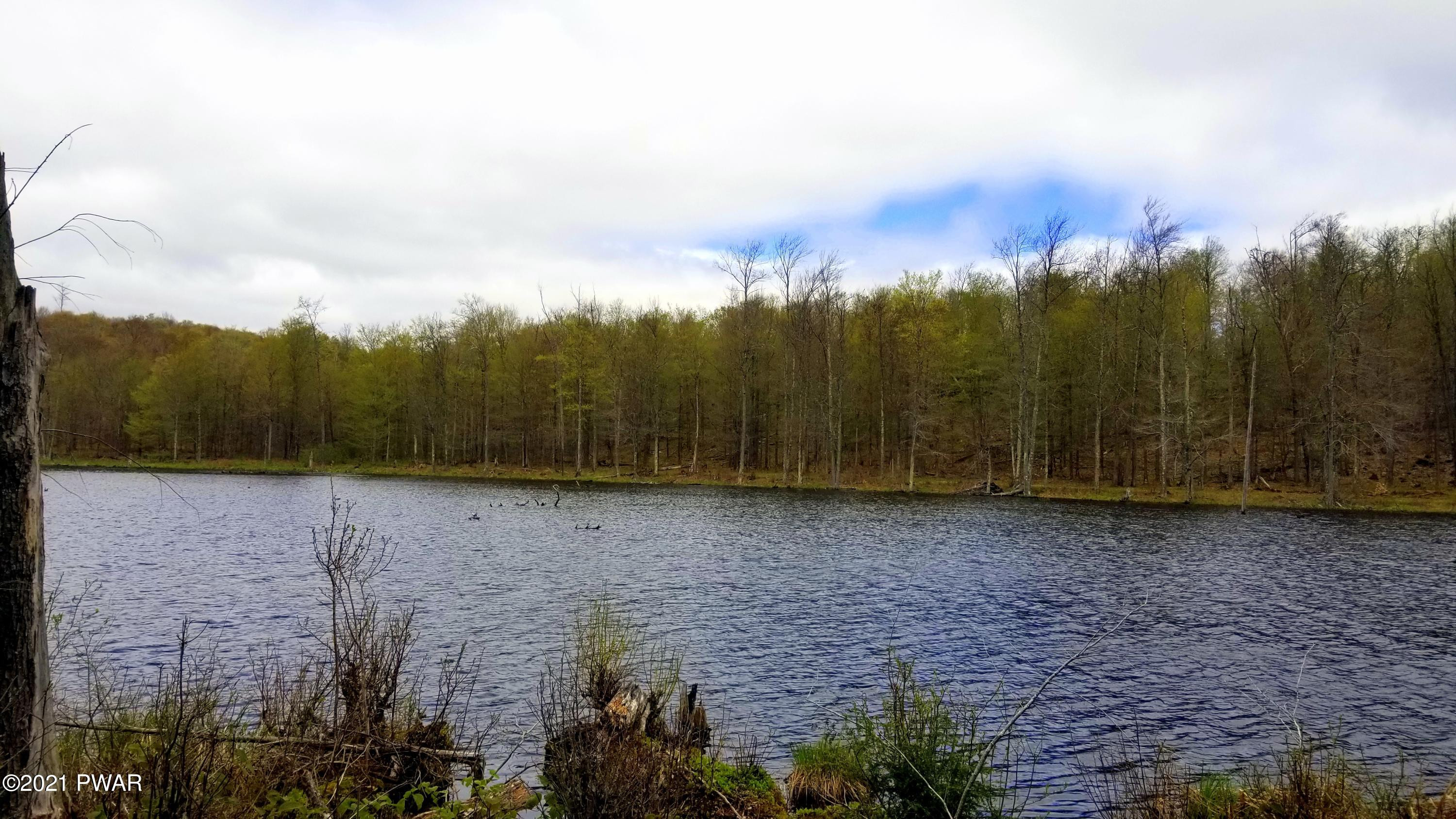 Lot 80 Stonegate Road Equinunk, PA 18417 - Photo 24 of 58