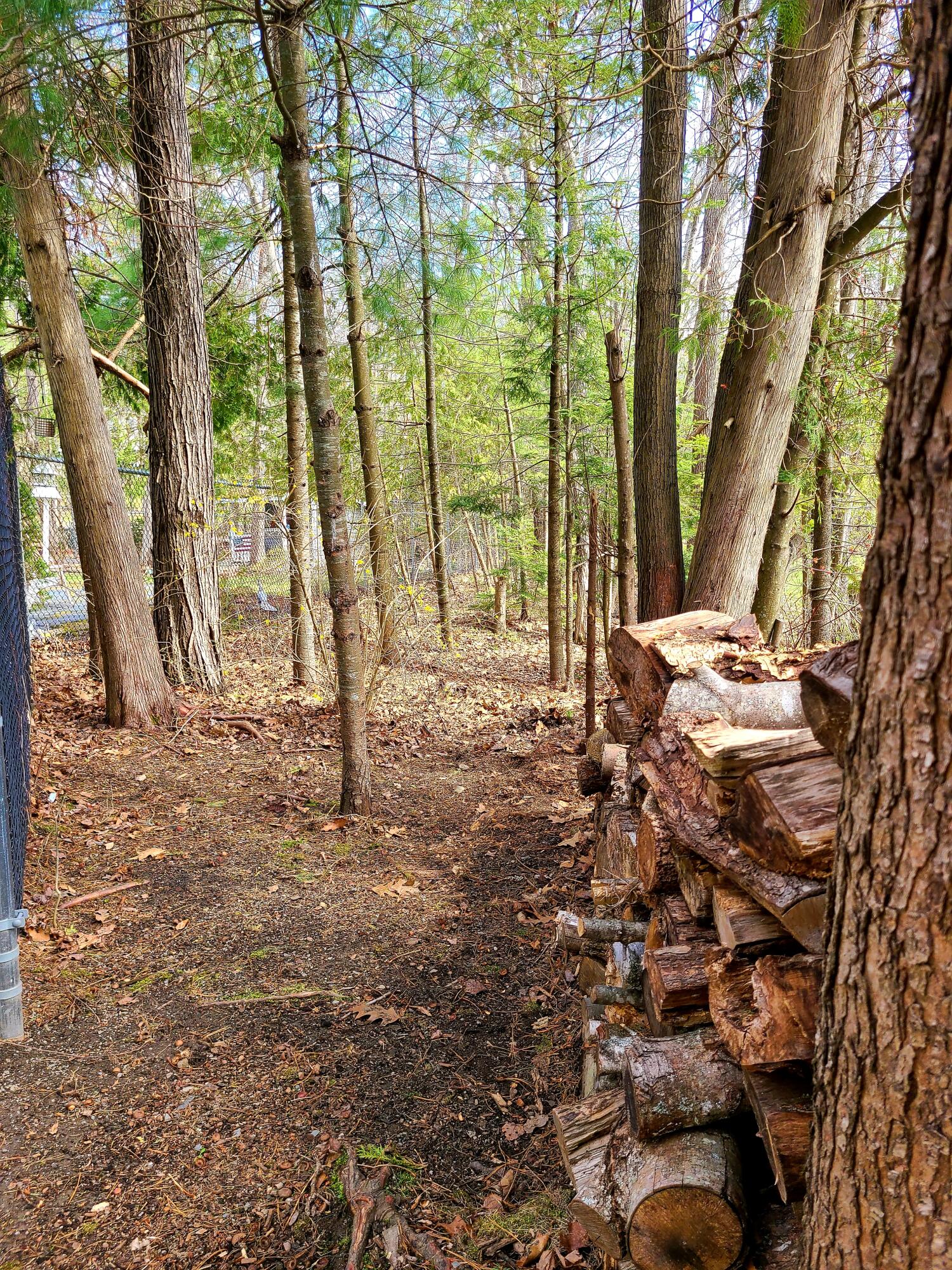 30 Silver Ridge Road Bangor, ME 04401 - Photo 95 of 102 Wood Area VZ