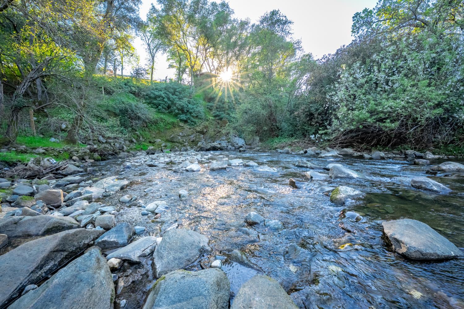 560 Ralston Lane Newcastle, CA 95658 - Photo 3 of 82