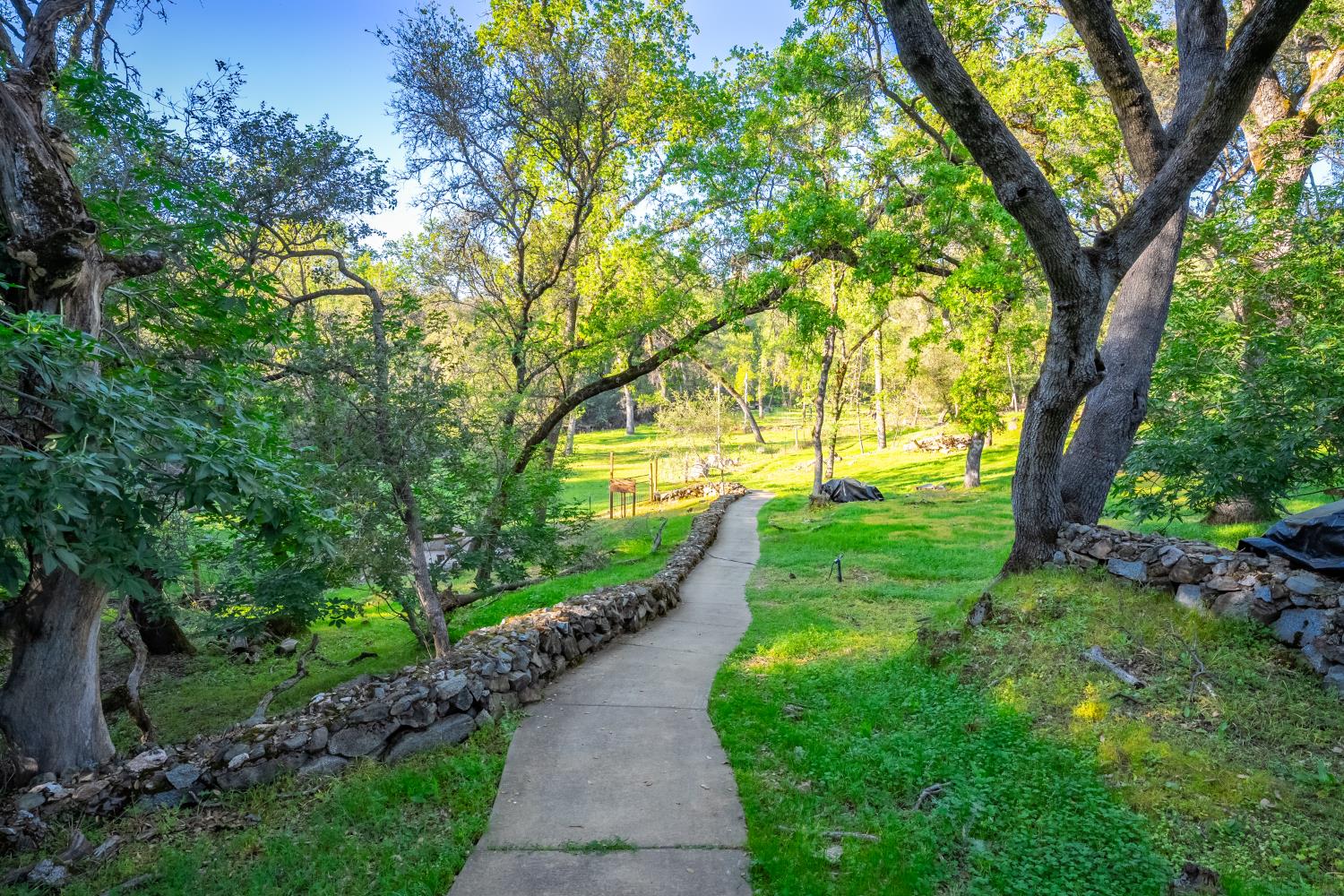 560 Ralston Lane Newcastle, CA 95658 - Photo 69 of 82