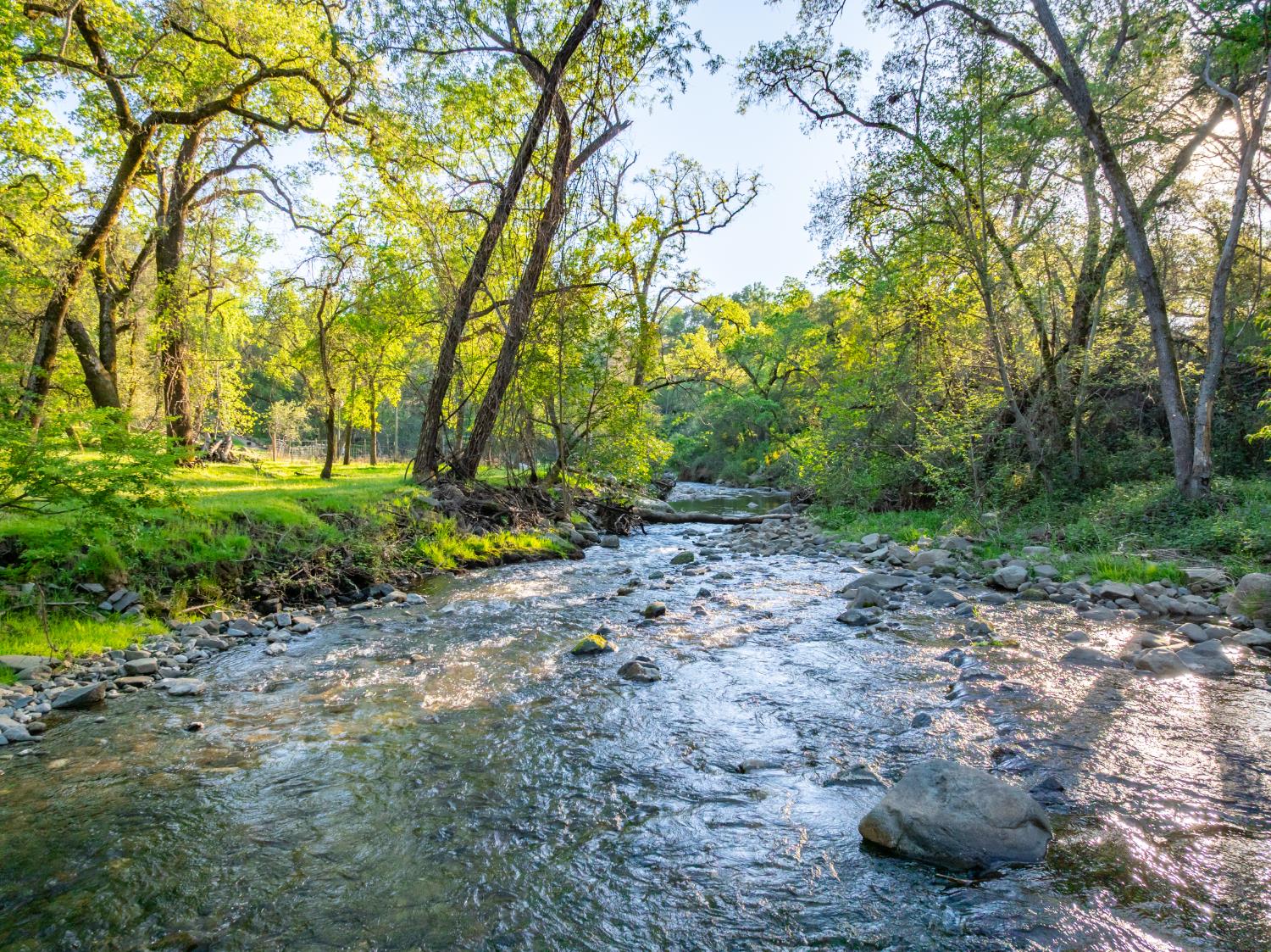 560 Ralston Lane Newcastle, CA 95658 - Photo 74 of 82