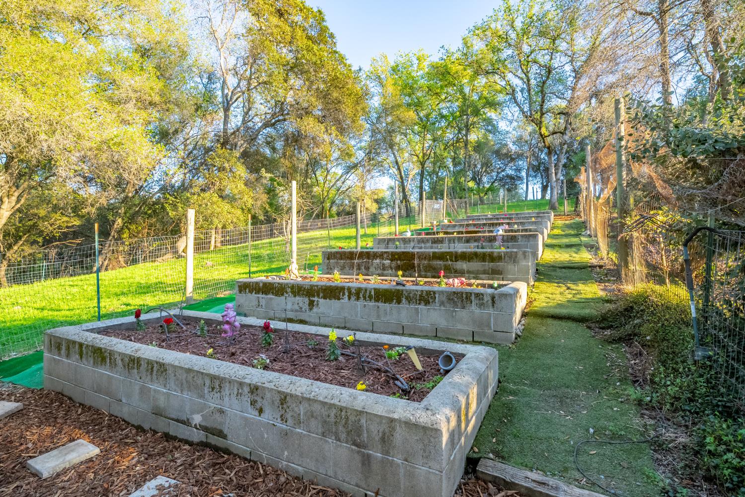 560 Ralston Lane Newcastle, CA 95658 - Photo 80 of 82