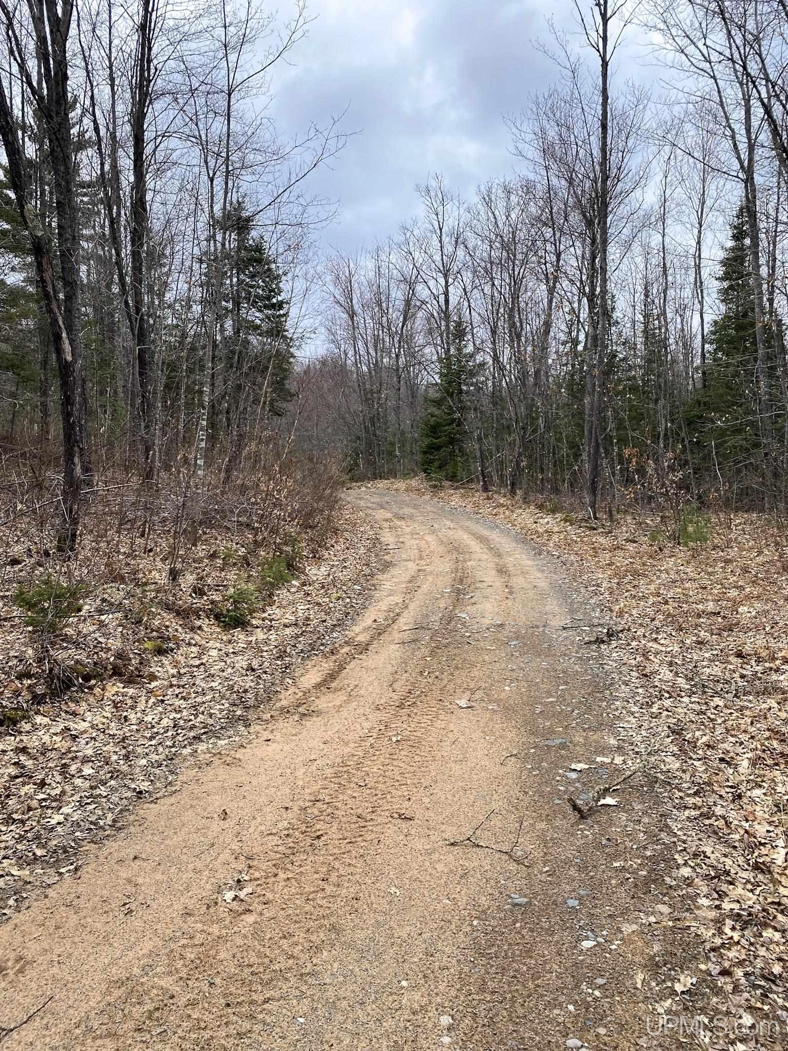 Tbd Tbd County Road Ishpeming, MI 49849 - Photo 19 of 24