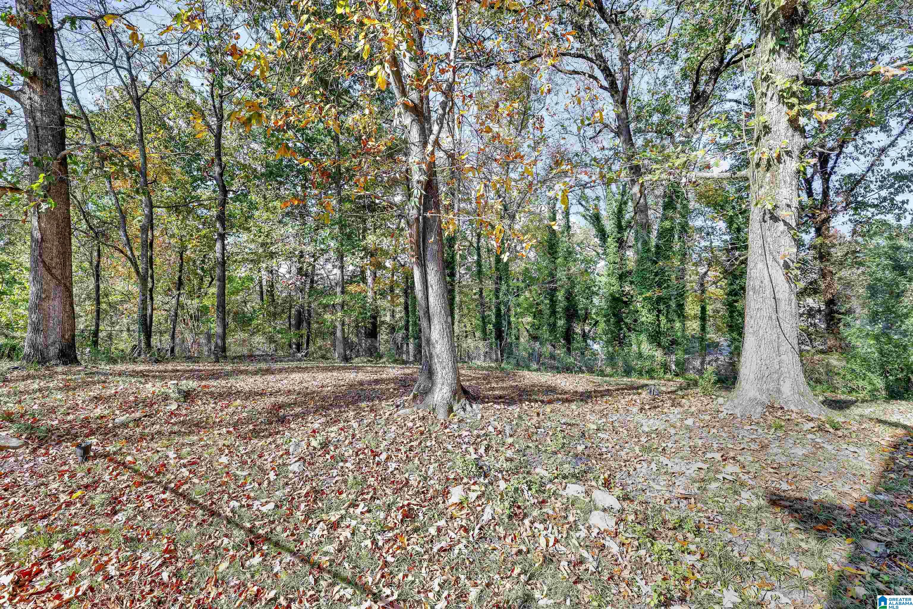 114 Stoneview Trail Birmingham, AL 35210 - Photo 22 of 22
