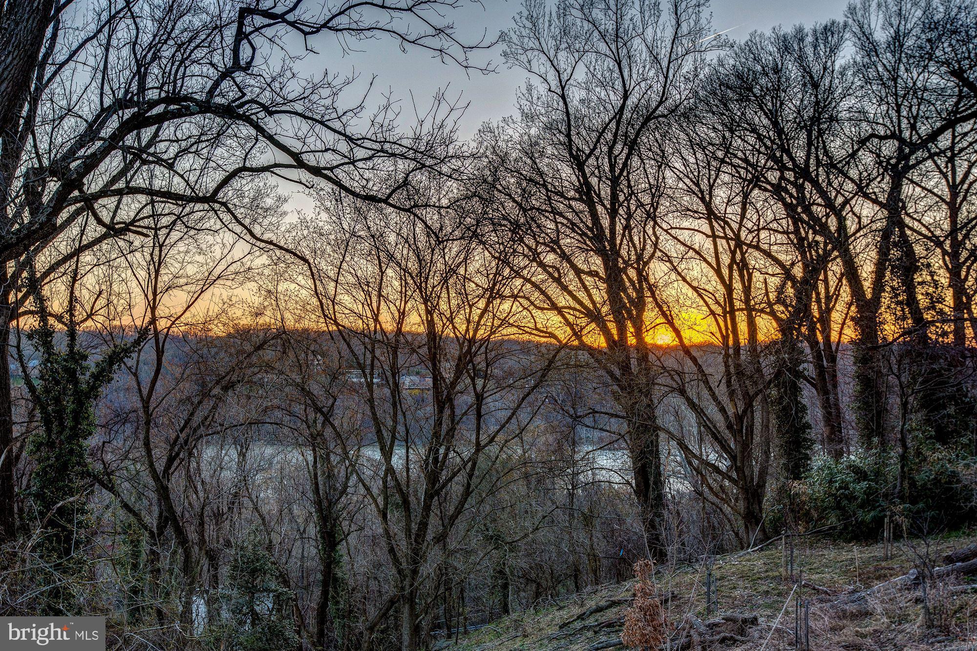 613 Brookes Ridge Court Bethesda, MD 20816 - Photo 31 of 32