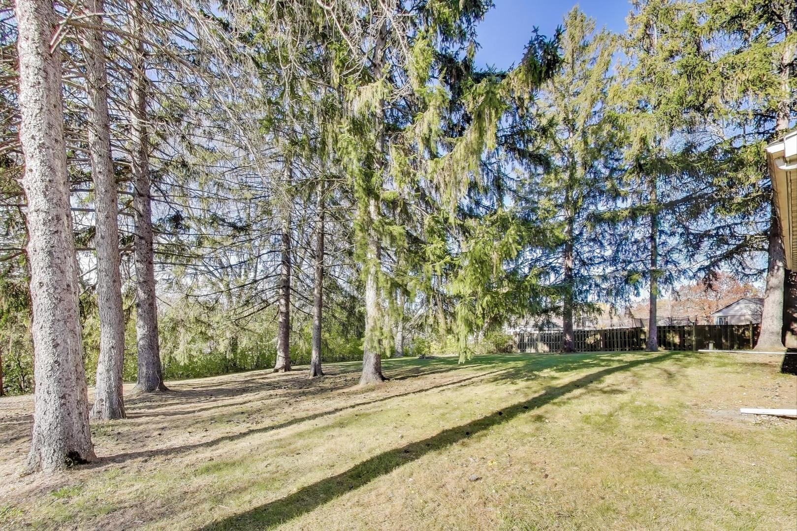 35944 North Wilson Road Ingleside, IL 60041 - Photo 22 of 26 a view of yard with trees