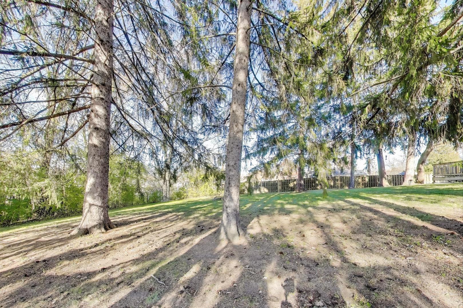 35944 North Wilson Road Ingleside, IL 60041 - Photo 24 of 26 a view of a yard with large trees