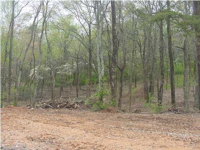18 Gann Store Road Hixson, TN 37343 - Photo 1 of 7 Primary Photo