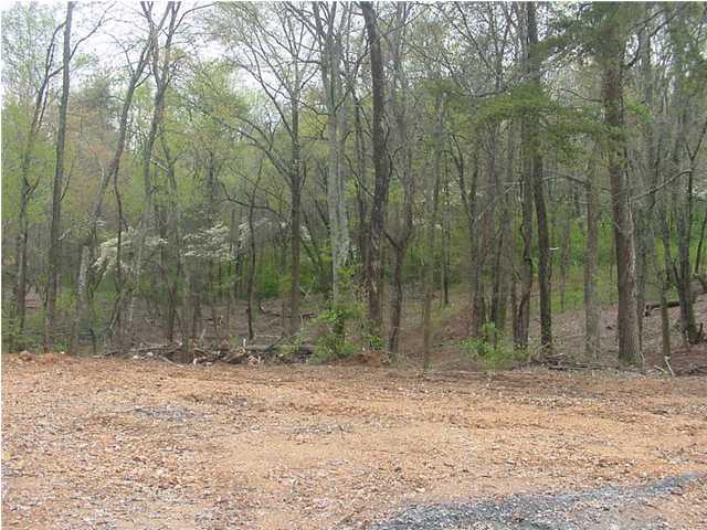 18 Gann Store Road Hixson, TN 37343 - Photo 2 of 7 Additional Photo