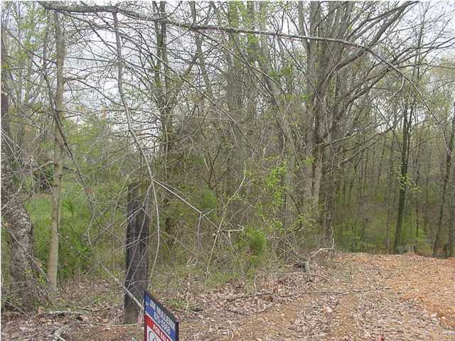 18 Gann Store Road Hixson, TN 37343 - Photo 4 of 7 Additional Photo
