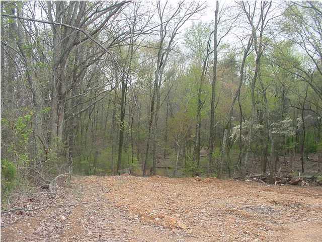 18 Gann Store Road Hixson, TN 37343 - Photo 5 of 7 Additional Photo