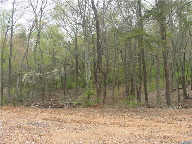 18 Gann Store Road Hixson, TN 37343 - Photo 6 of 7 Additional Photo